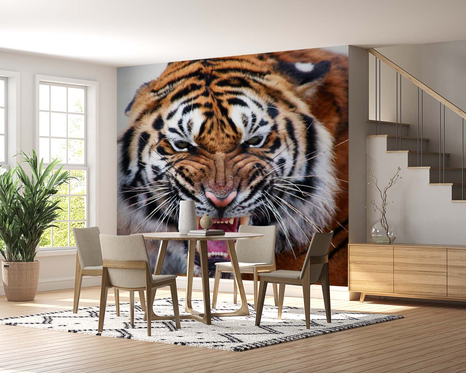 Fototapeta rev nahnevaný dospelý tiger