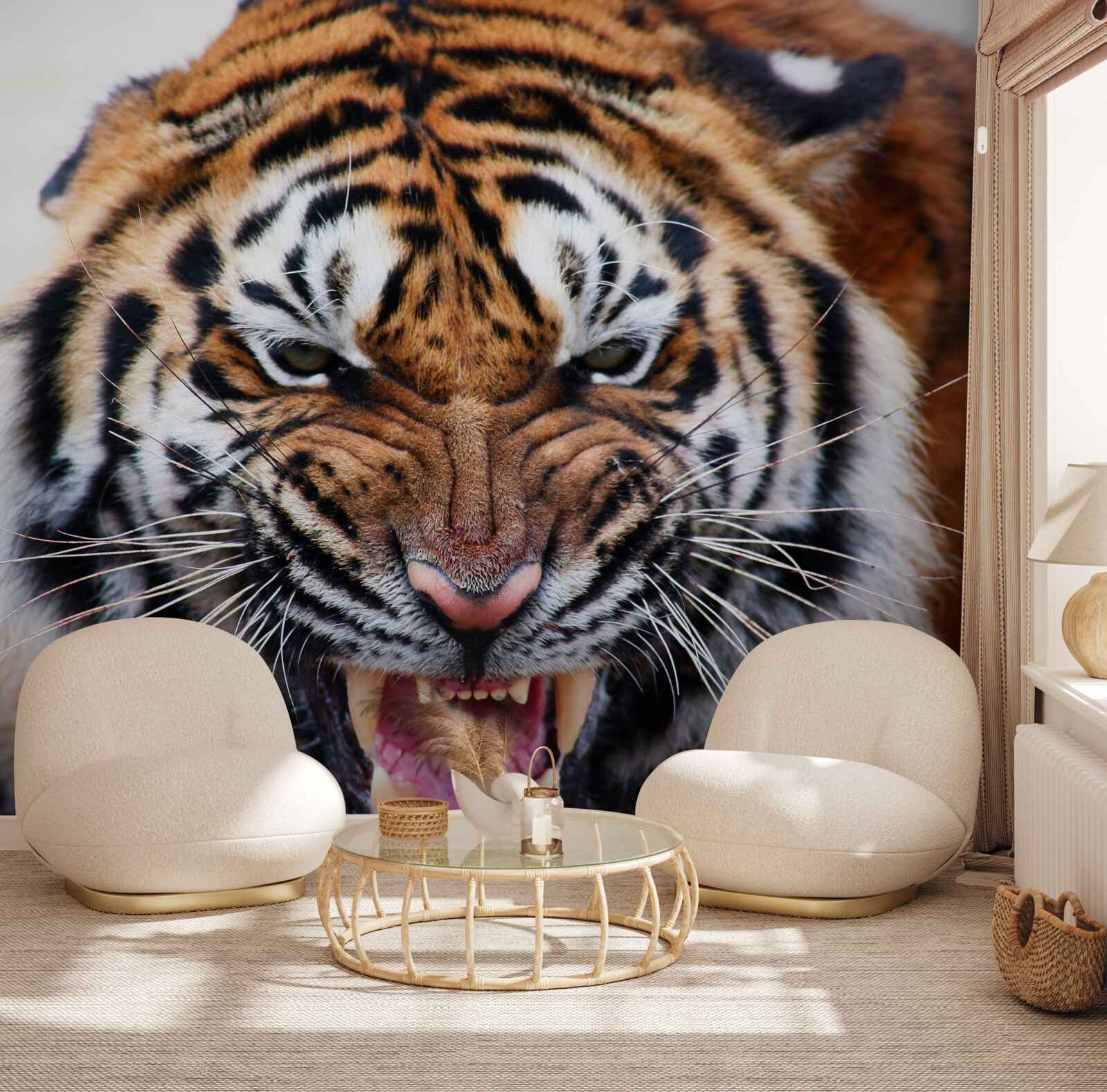 Fototapeta rev nahnevaný dospelý tiger