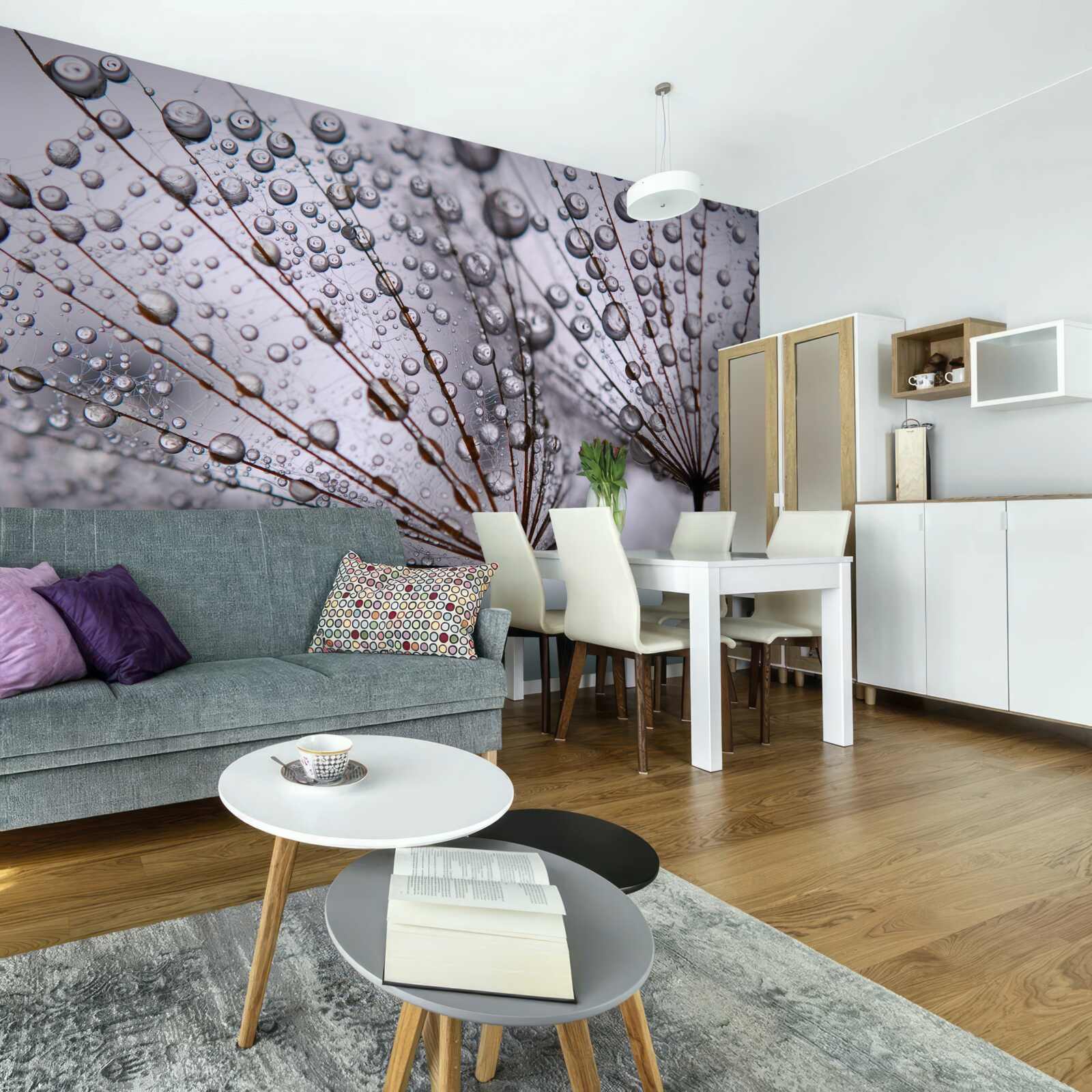 Fototapeta kvapky rosy zostali na kvetoch púpavy