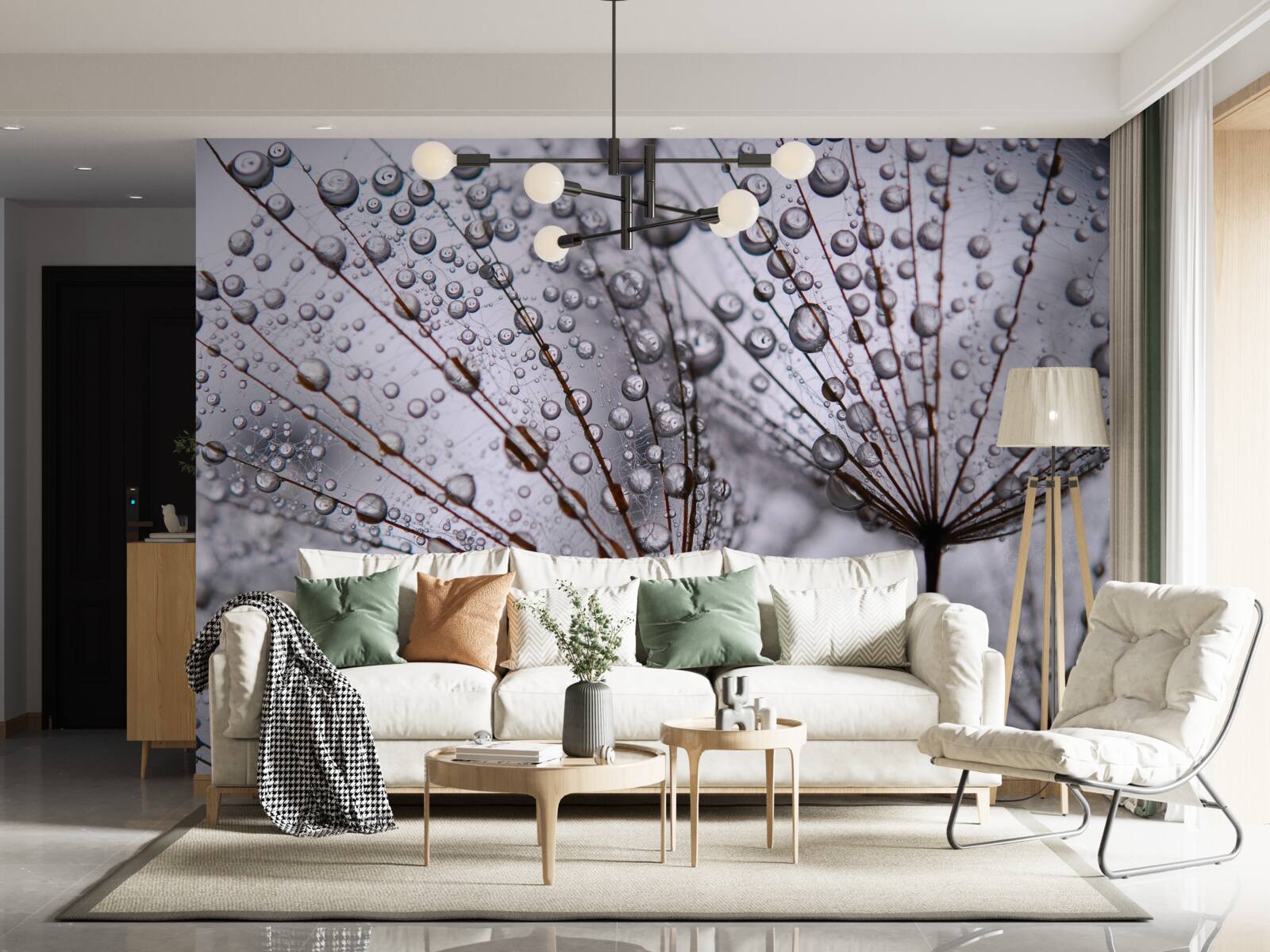 Fototapeta kvapky rosy zostali na kvetoch púpavy