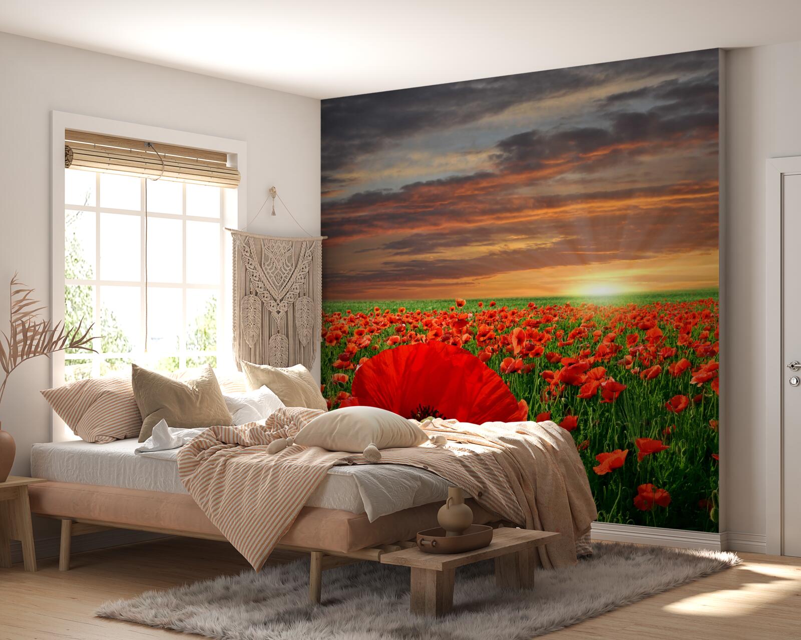 Fototapeta soľ padá na dno polí červených makov