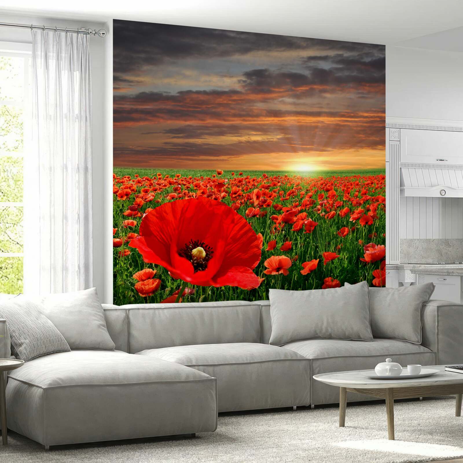 Fototapeta soľ padá na dno polí červených makov