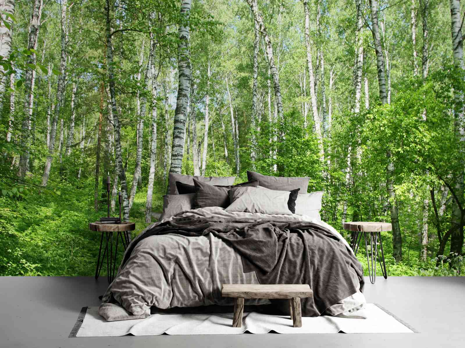 Fototapeta cesta do zeleného Brezového hája