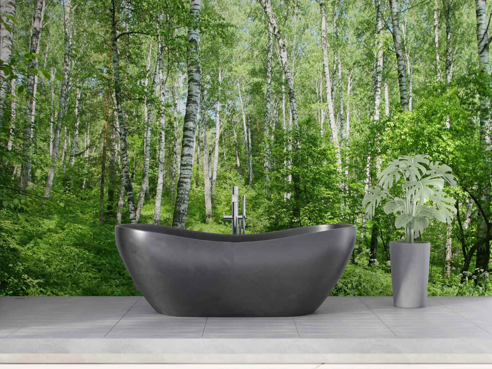 Fototapeta cesta do zeleného Brezového hája