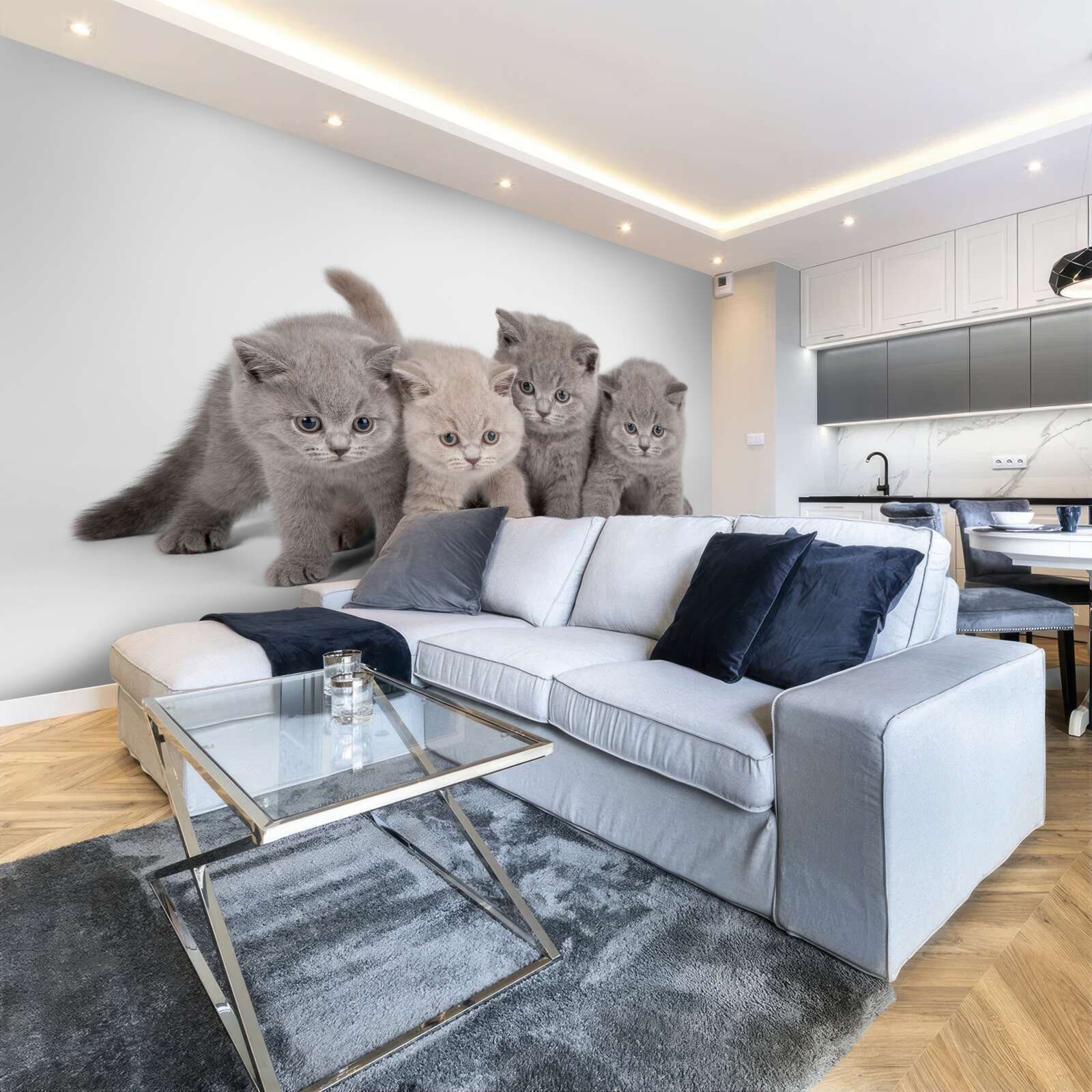 Fototapeta štyri malé roztomilé mačiatko