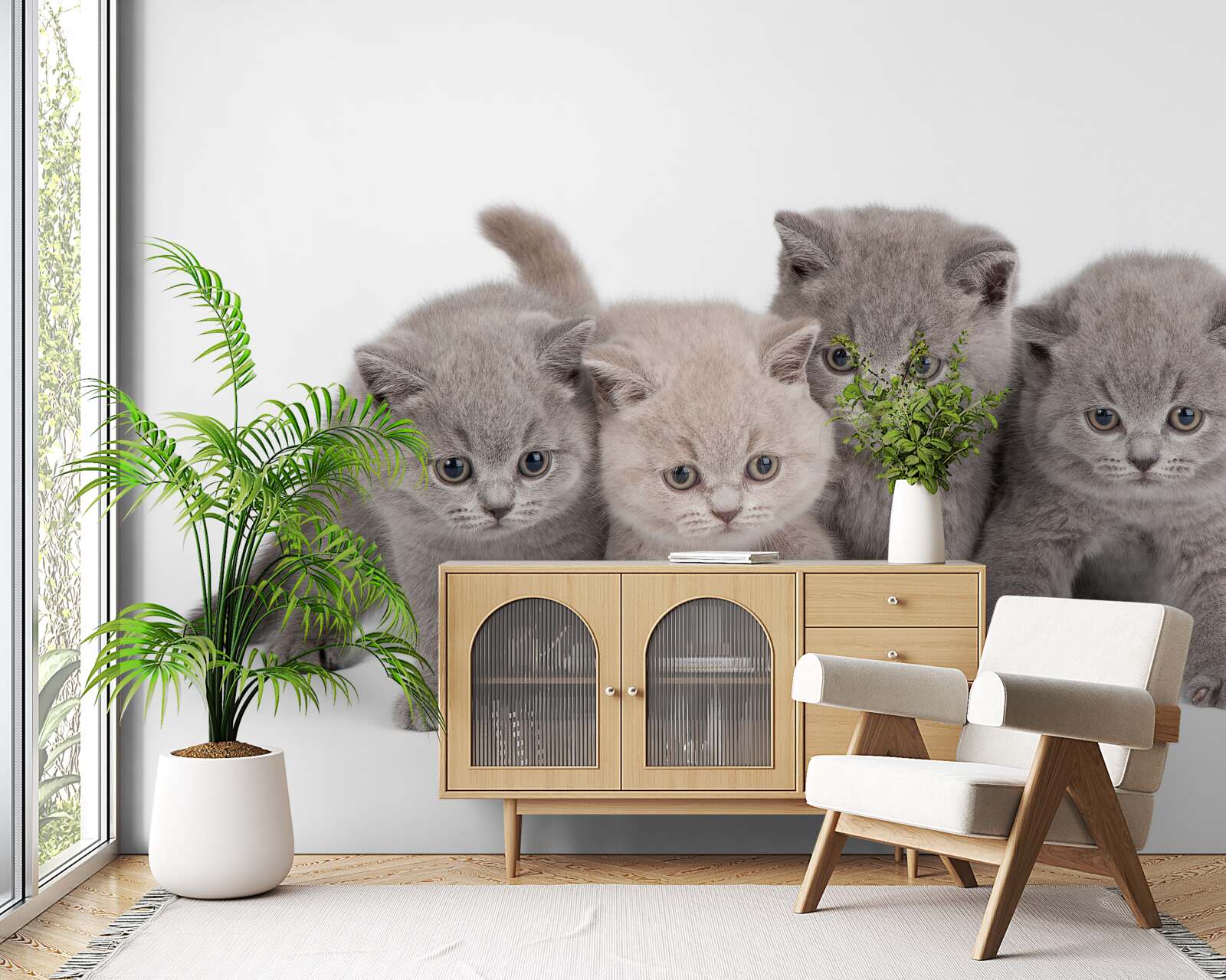 Fototapeta štyri malé roztomilé mačiatko