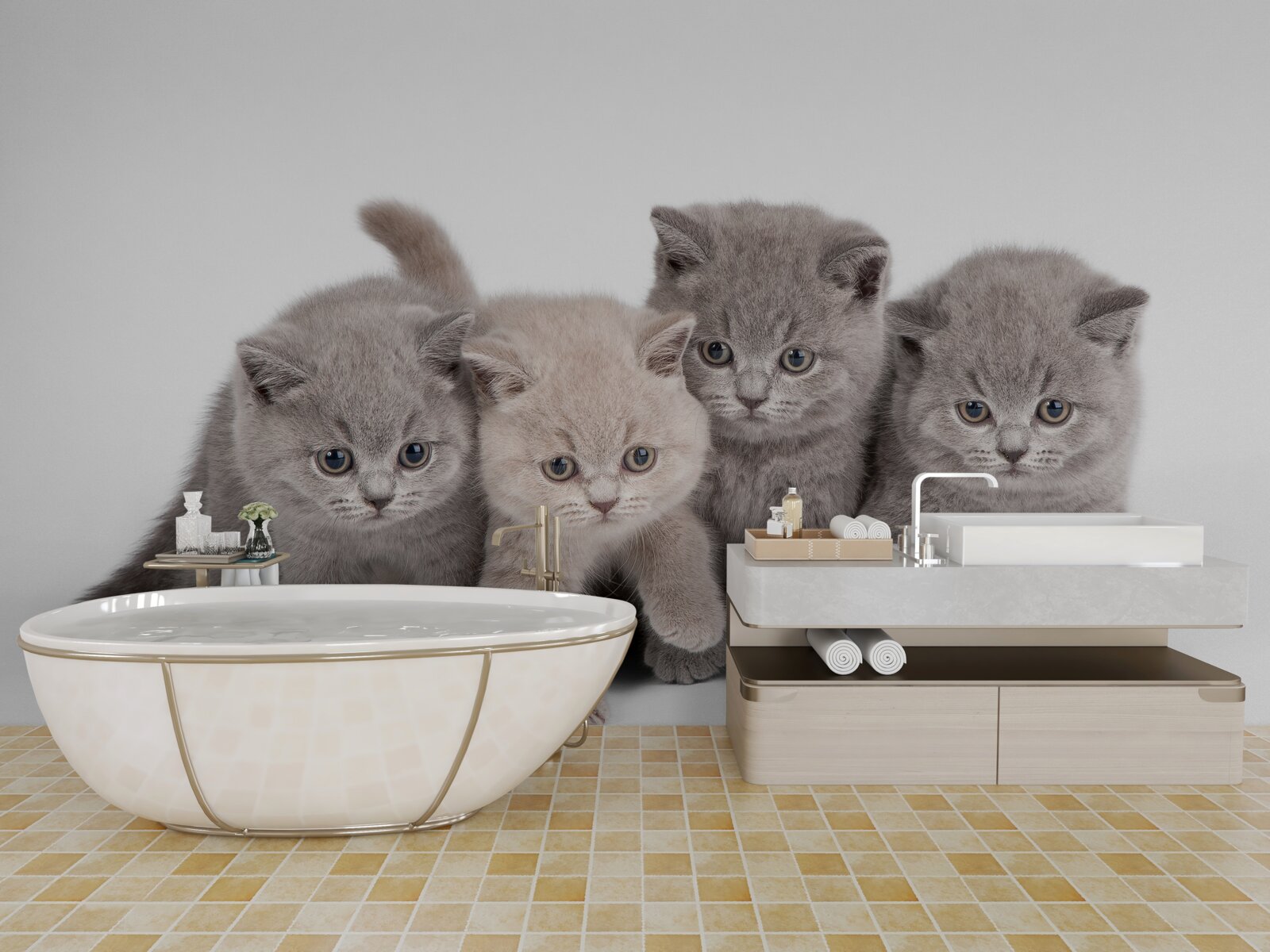 Fototapeta štyri malé roztomilé mačiatko