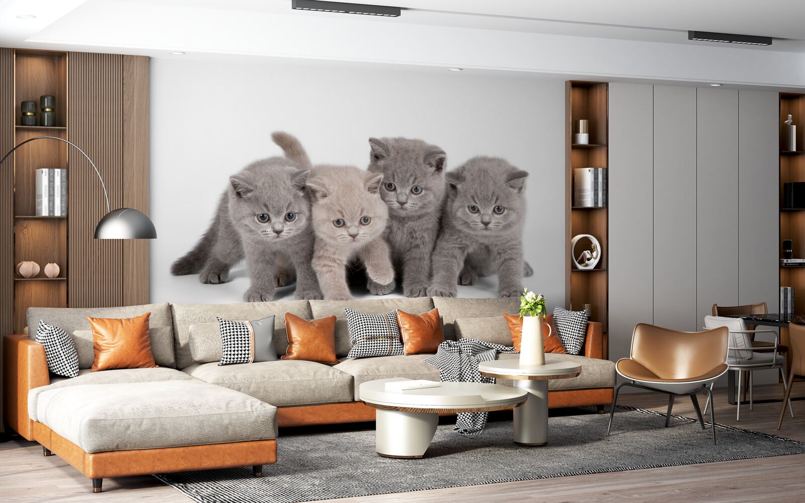 Fototapeta štyri malé roztomilé mačiatko