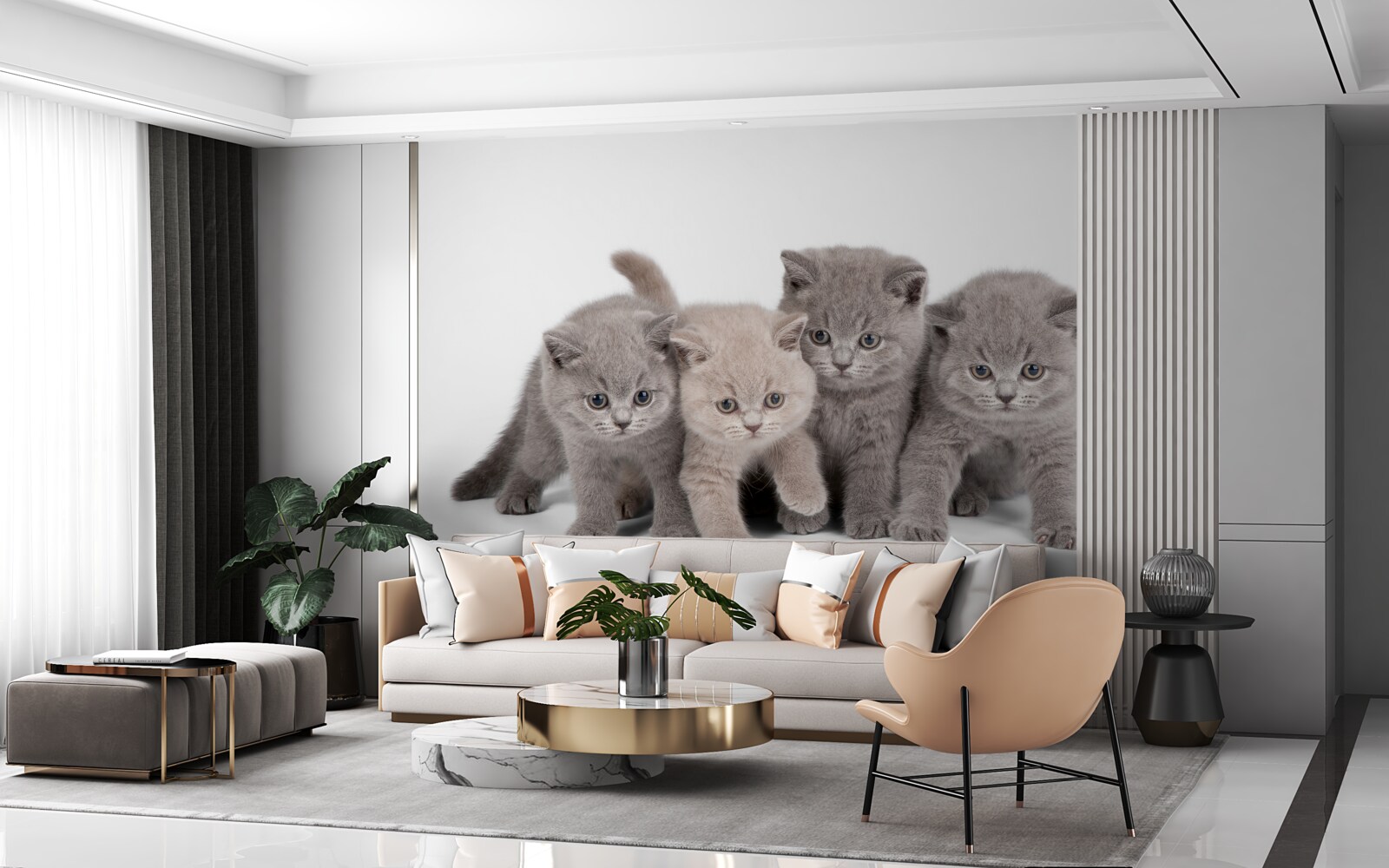 Fototapeta štyri malé roztomilé mačiatko