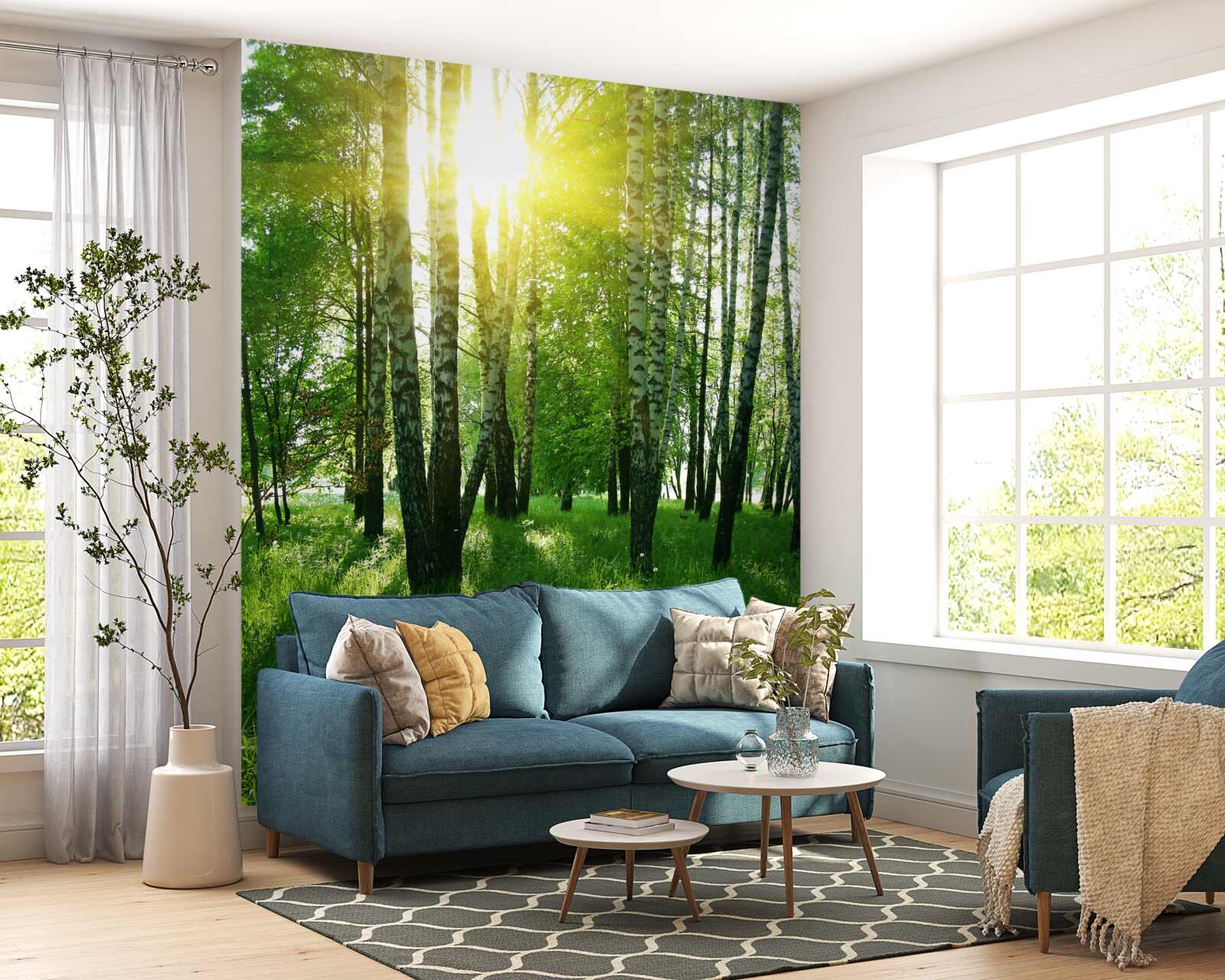 Fototapeta cezium husté húštiny brezových stromov presvitá slnko