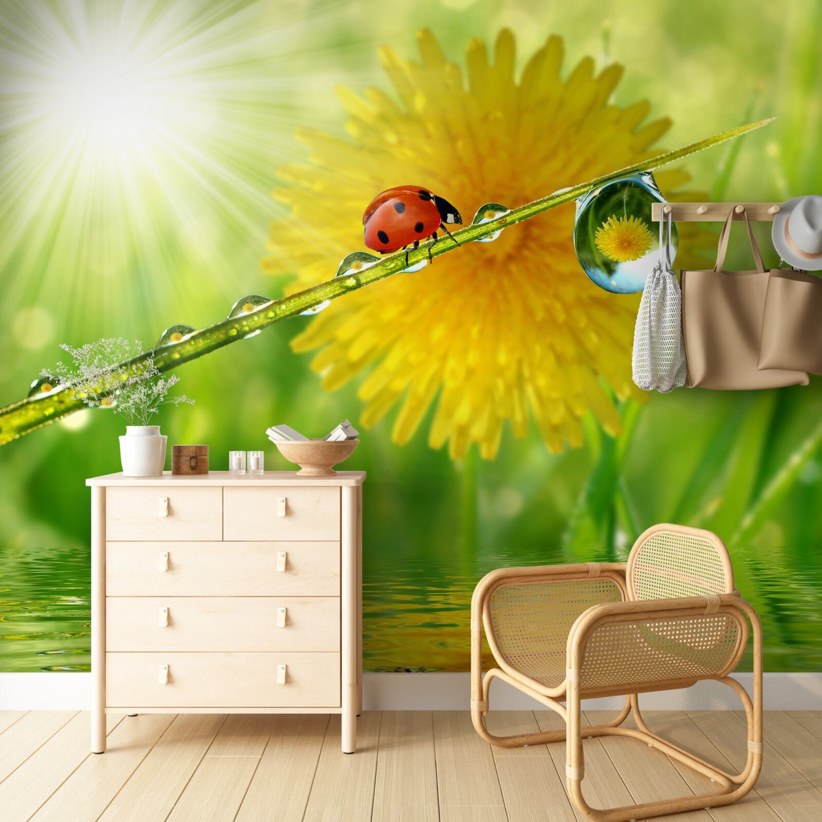 Fototapeta veľká púpava v kvapkách pri vode