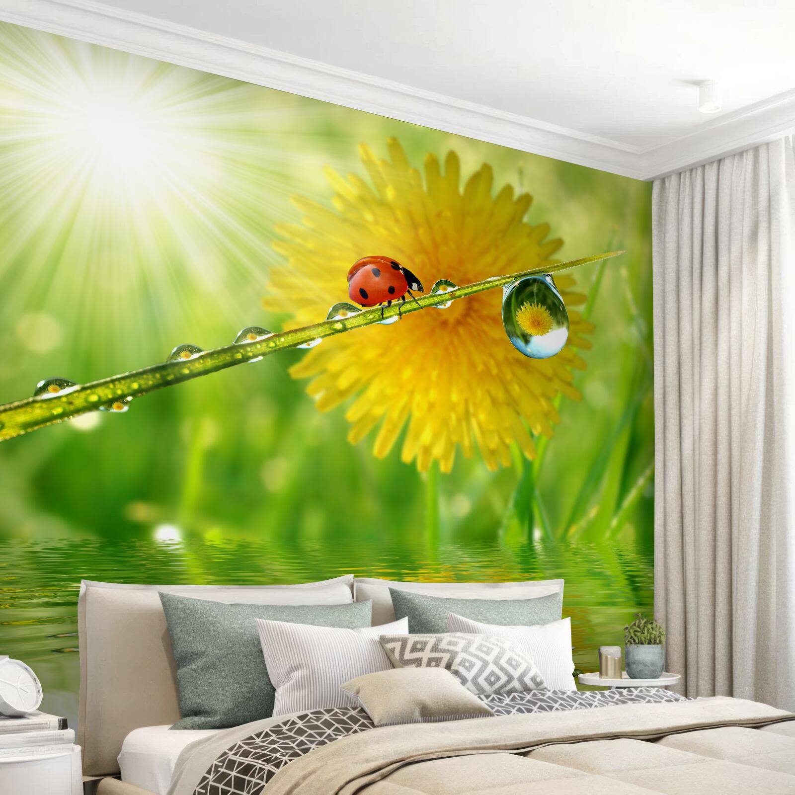 Fototapeta veľká púpava v kvapkách pri vode