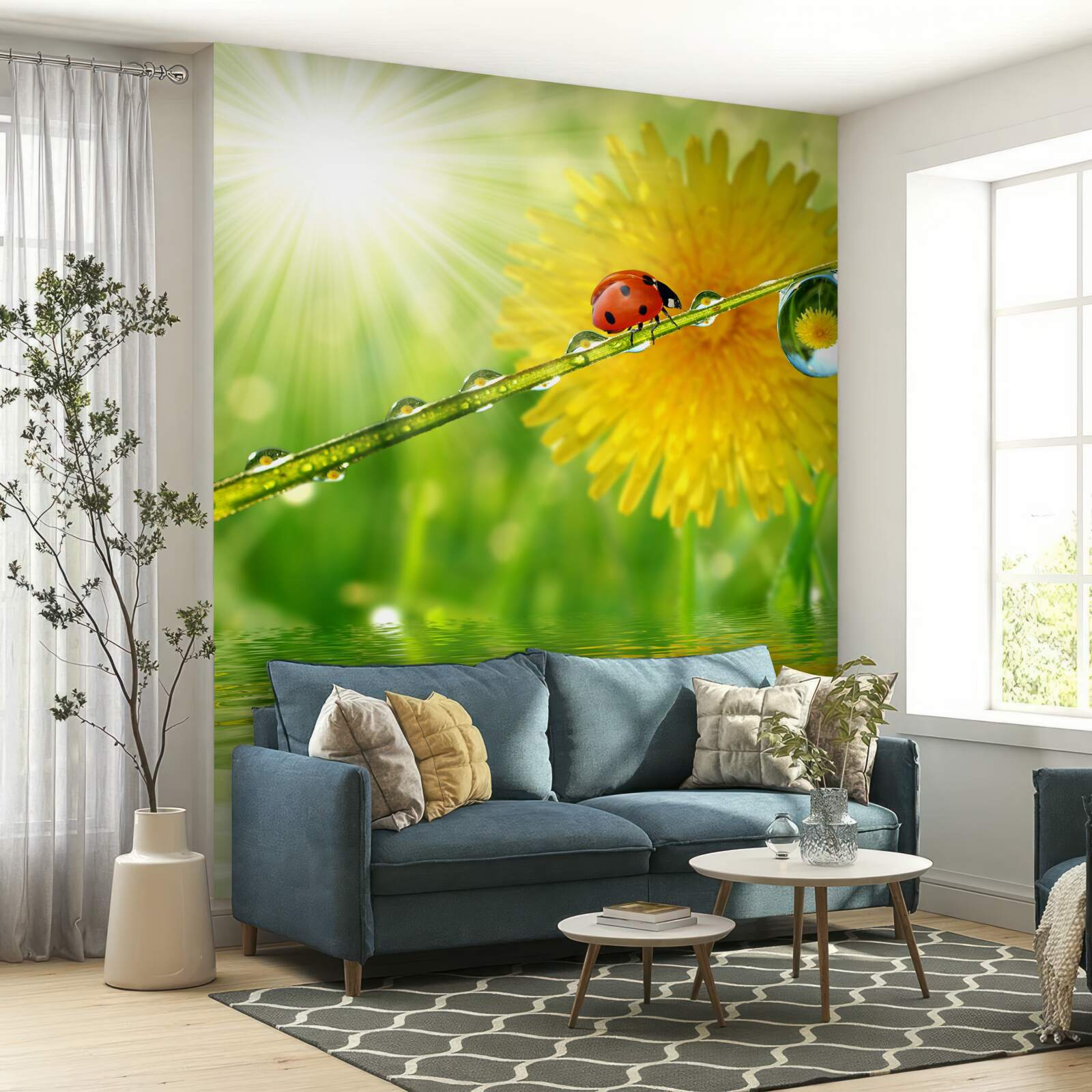 Fototapeta veľká púpava v kvapkách pri vode