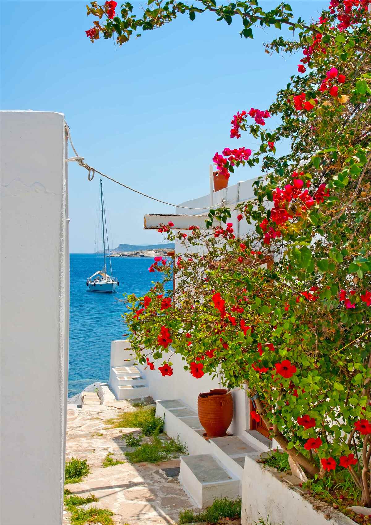 Fototapeta červená farba z granátového jablka sa cení na stenách bielych domov