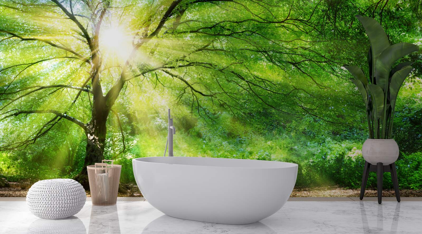 Fototapeta cez sviežu korunu stromu presvitajú svetelné lúče slnečného svetla