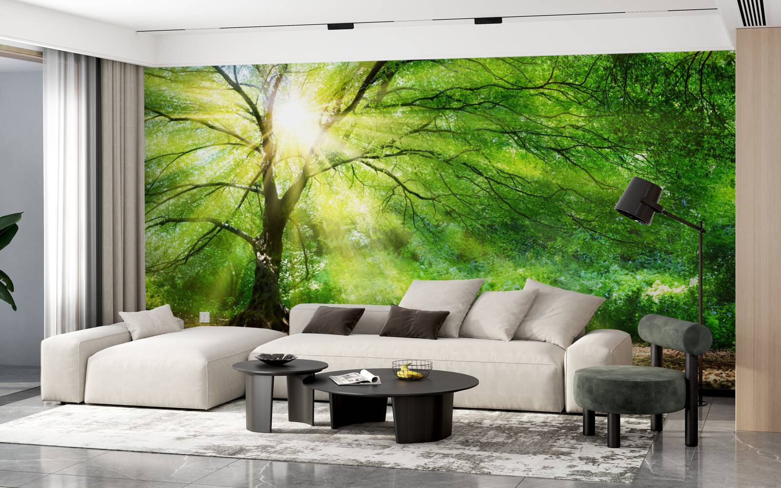 Fototapeta cez sviežu korunu stromu presvitajú svetelné lúče slnečného svetla