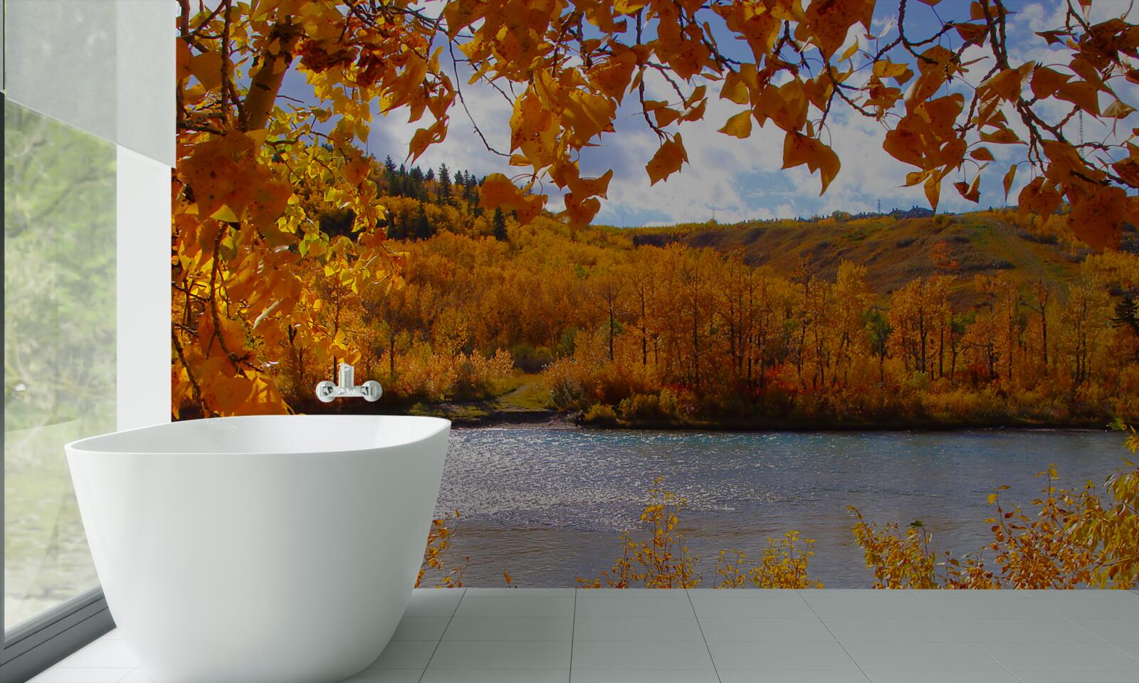 Fototapeta zlatá jeseň v hustom lese pri rieke