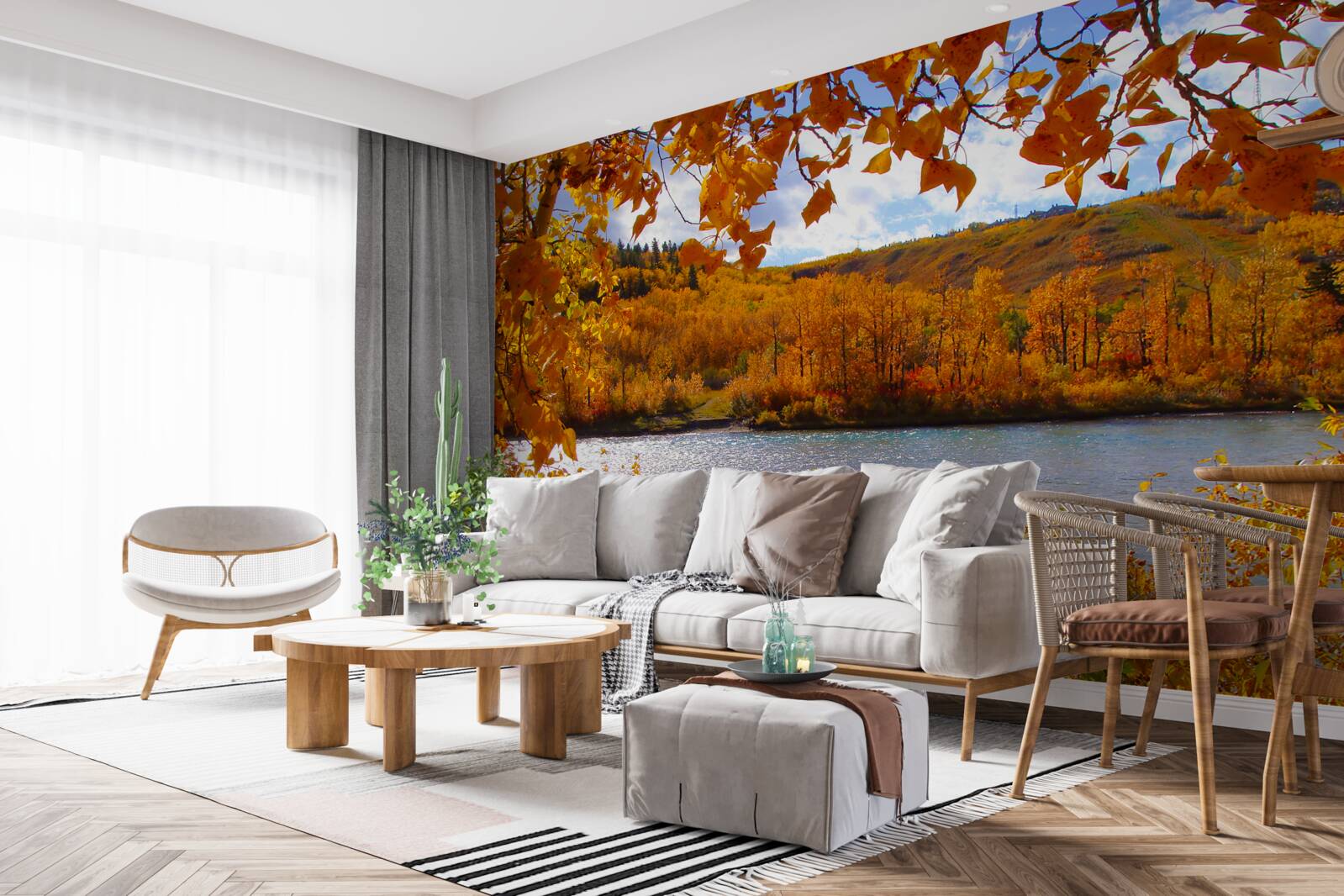 Fototapeta zlatá jeseň v hustom lese pri rieke