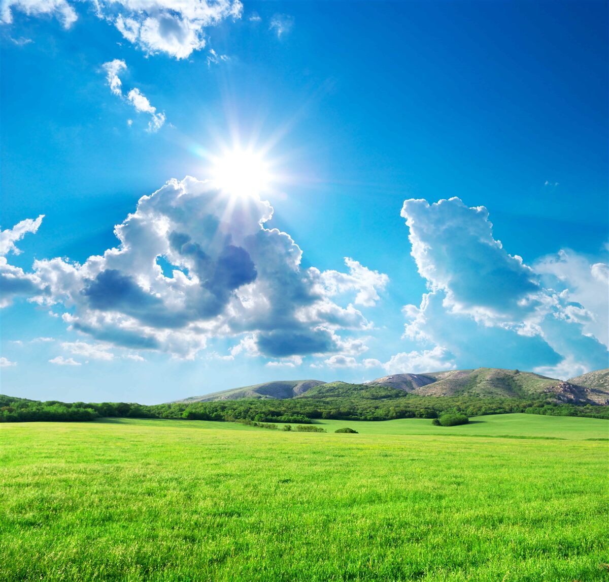 Fototapeta ľahký letný dizajn pre lukea