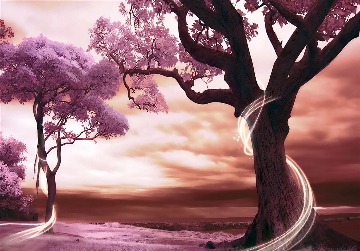 Fototapeta silné stromy v púšti, plné života a krásy