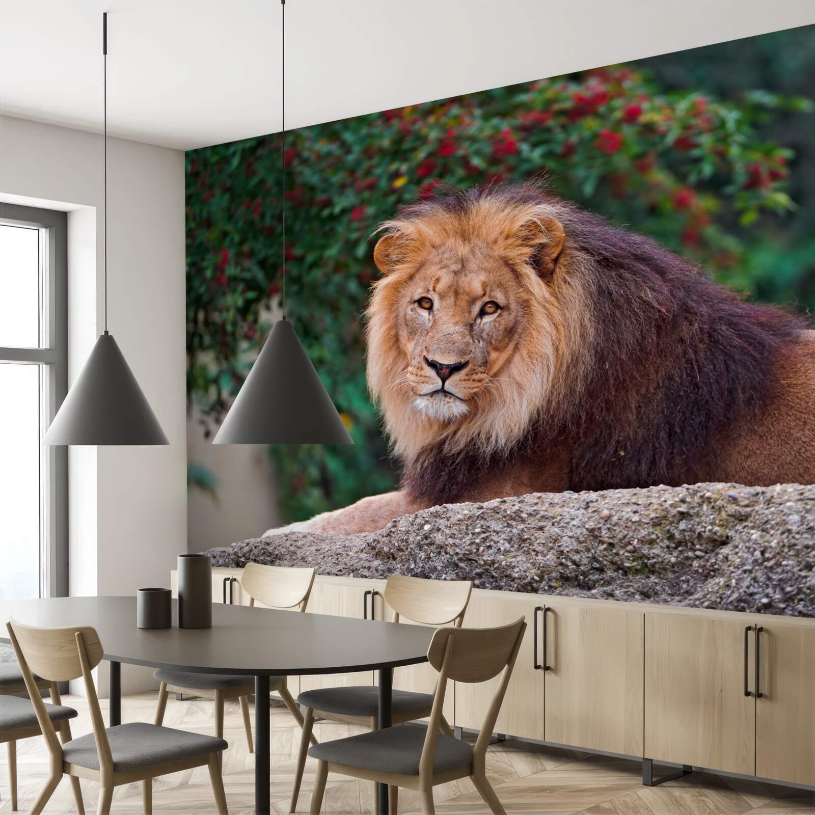 Fototapeta dospelý lev sedí na skale a čaká naľavo