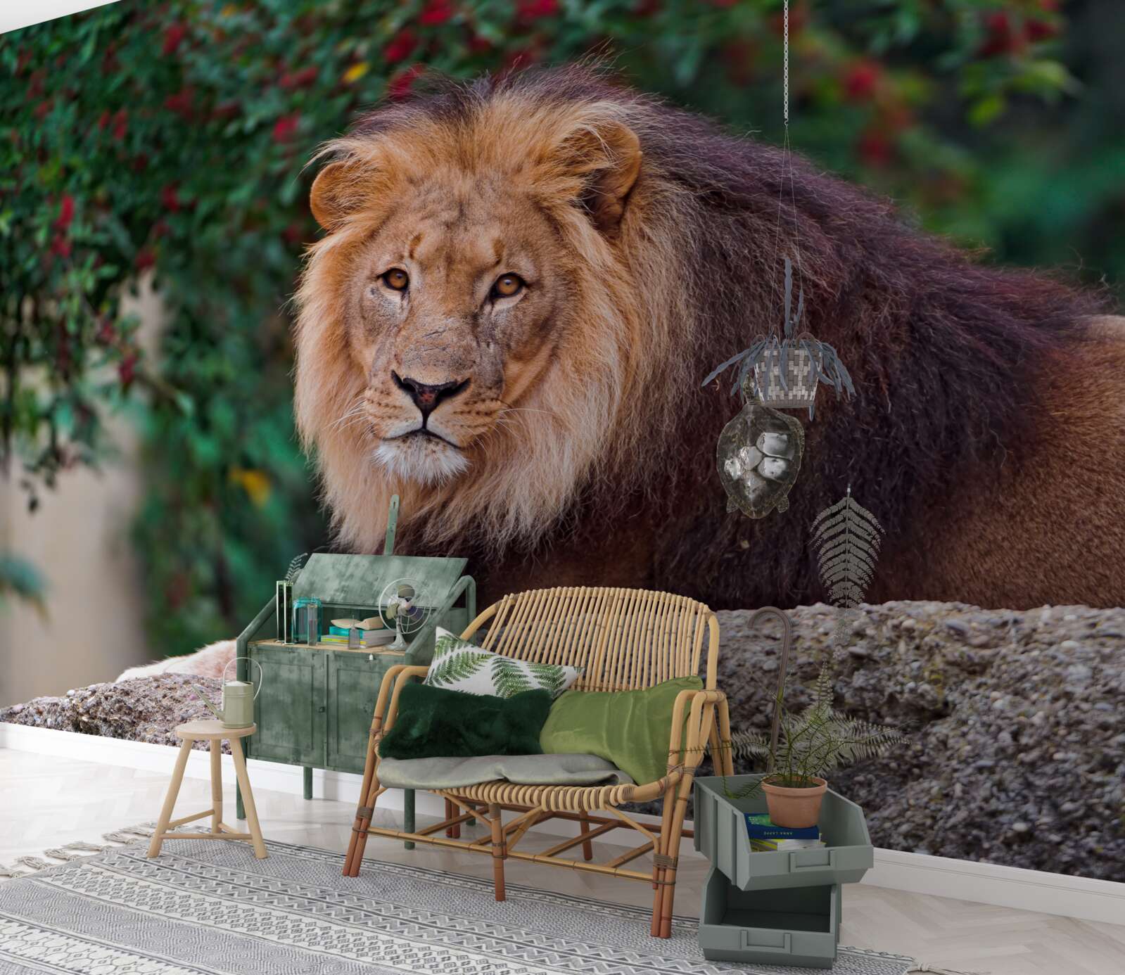 Fototapeta dospelý lev sedí na skale a čaká naľavo