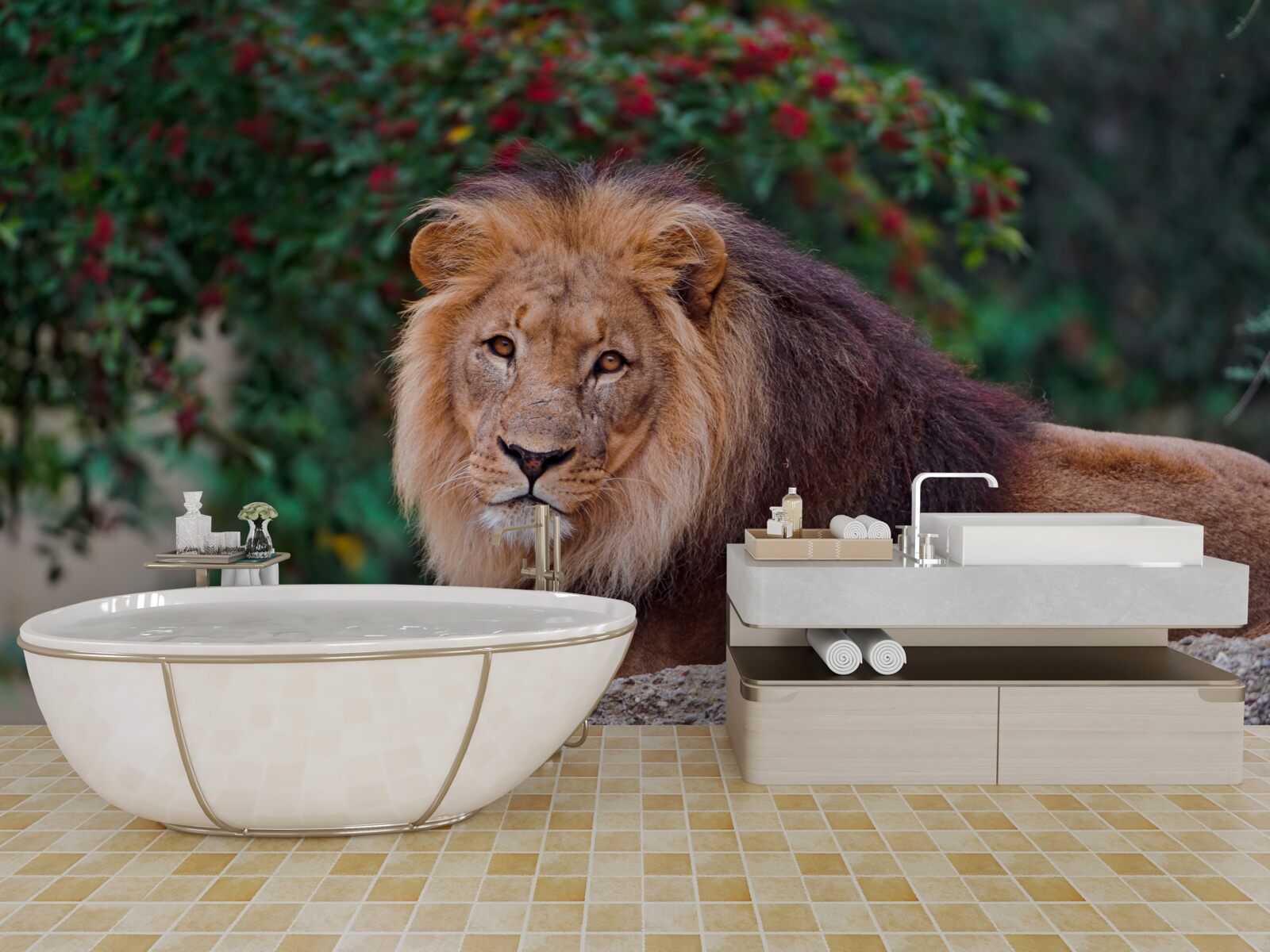 Fototapeta dospelý lev sedí na skale a čaká naľavo