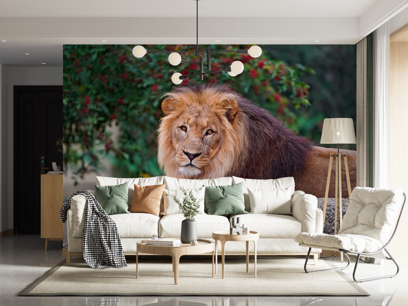 Fototapeta dospelý lev sedí na skale a čaká naľavo