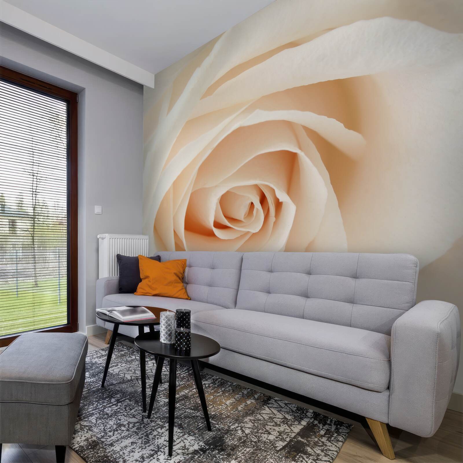 Fototapeta Krámová ruža semnými okvetnými lístkami v celej svojej kráse