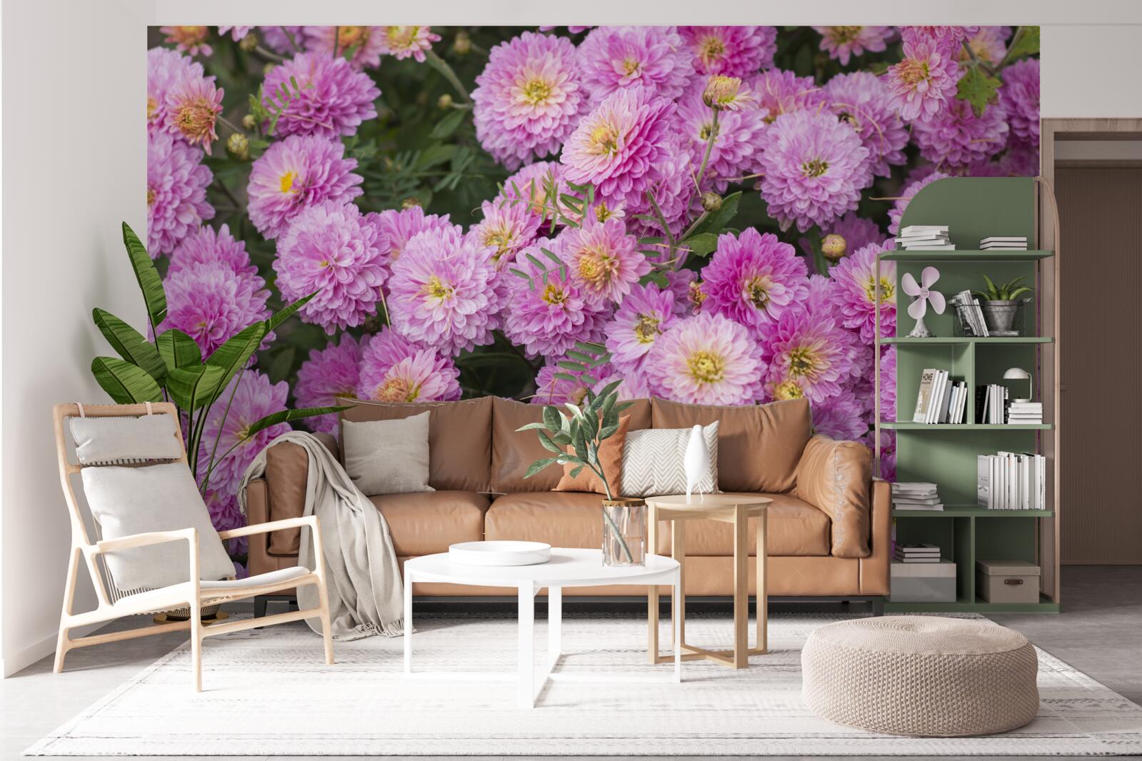 Fototapeta krásne gerbery so svetlo orgovánovými sedmokráskymi