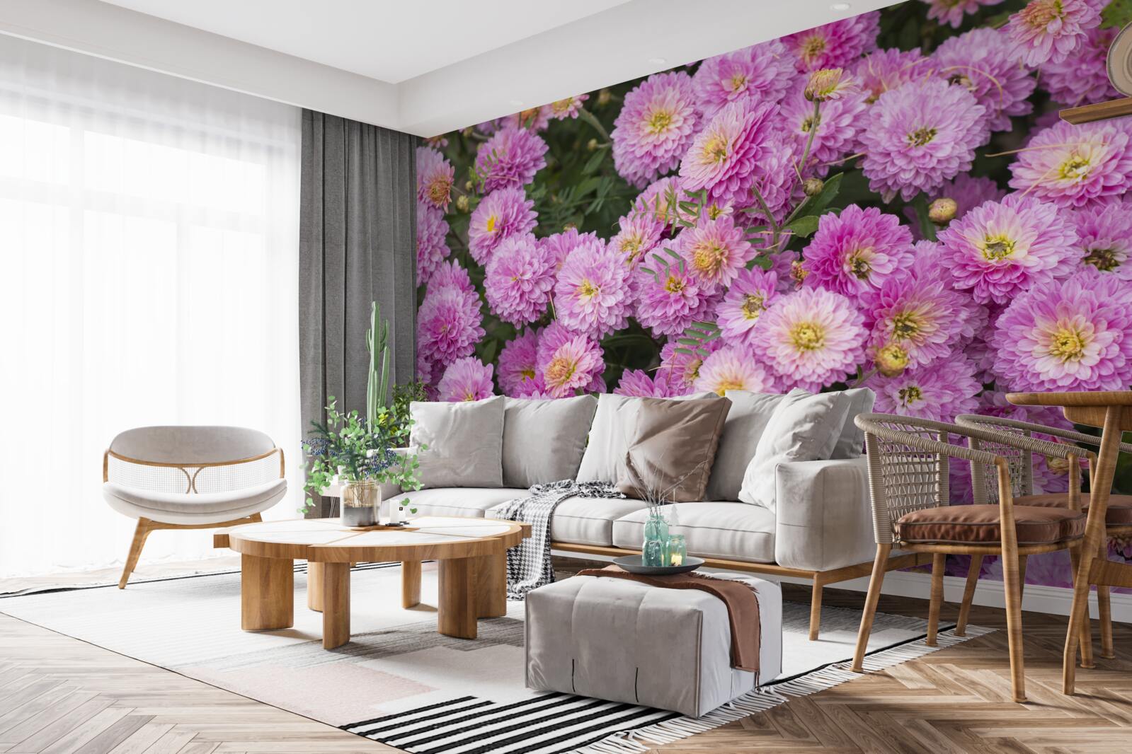 Fototapeta krásne gerbery so svetlo orgovánovými sedmokráskymi