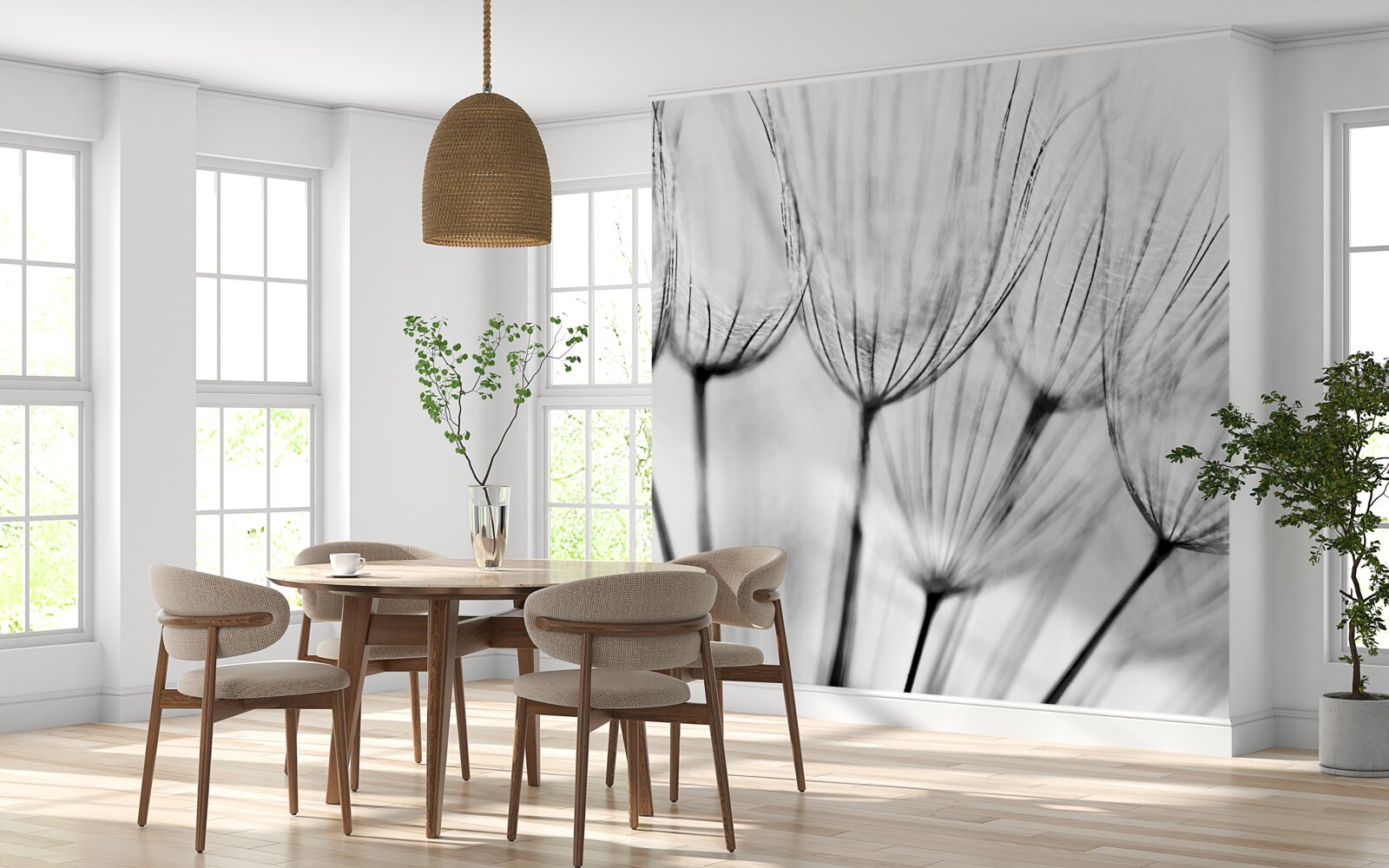 Fototapeta biele púpavy s otvorenými púčikmi