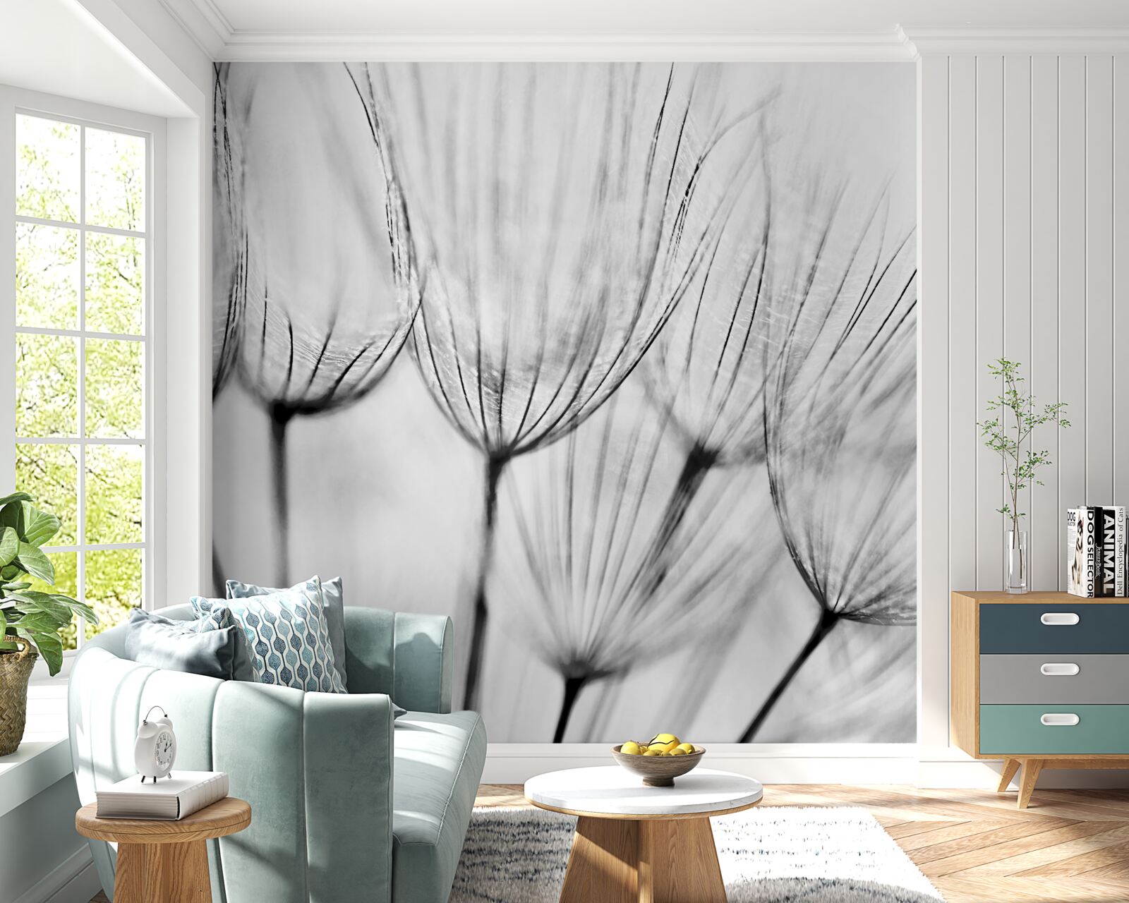 Fototapeta biele púpavy s otvorenými púčikmi