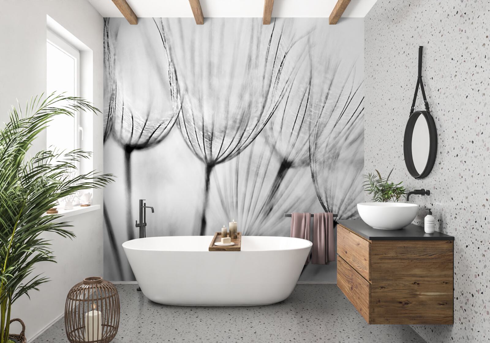 Fototapeta biele púpavy s otvorenými púčikmi