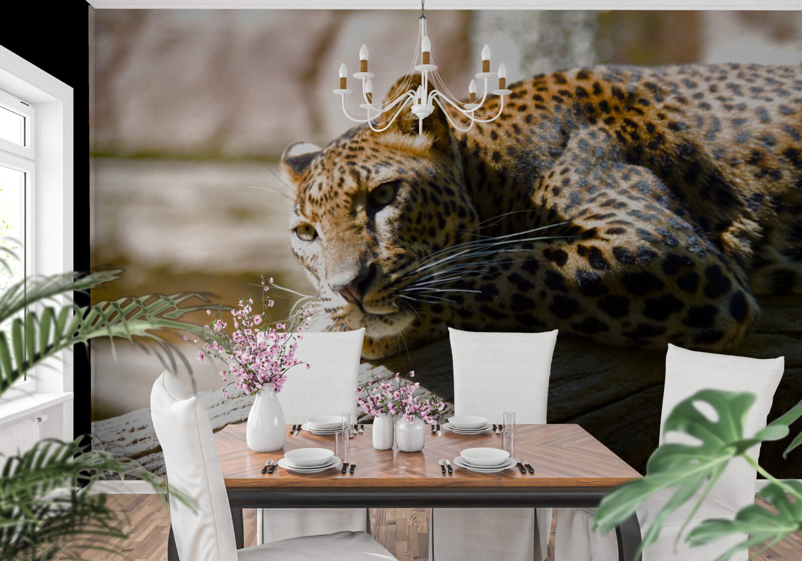 Fototapeta pantery sa vyhrievajú na horúcej soli