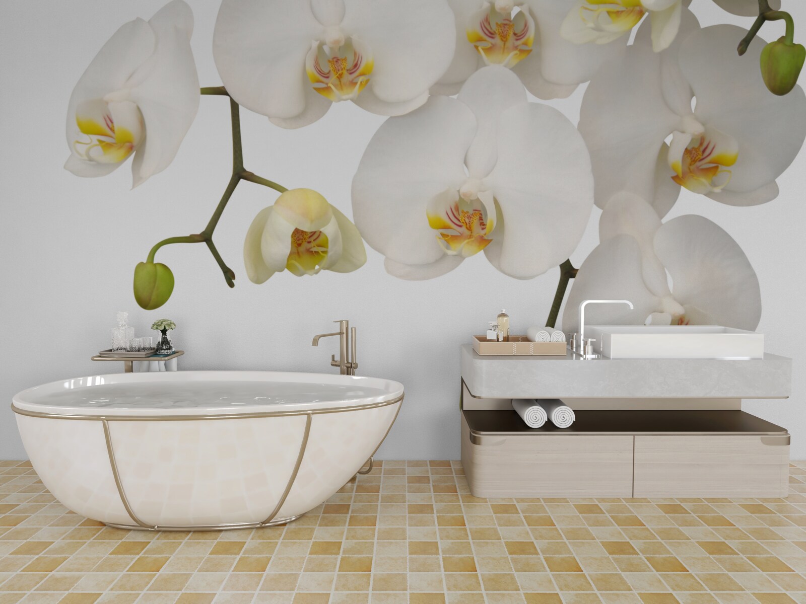 Fototapeta Orchidey sú biele kvety Visia