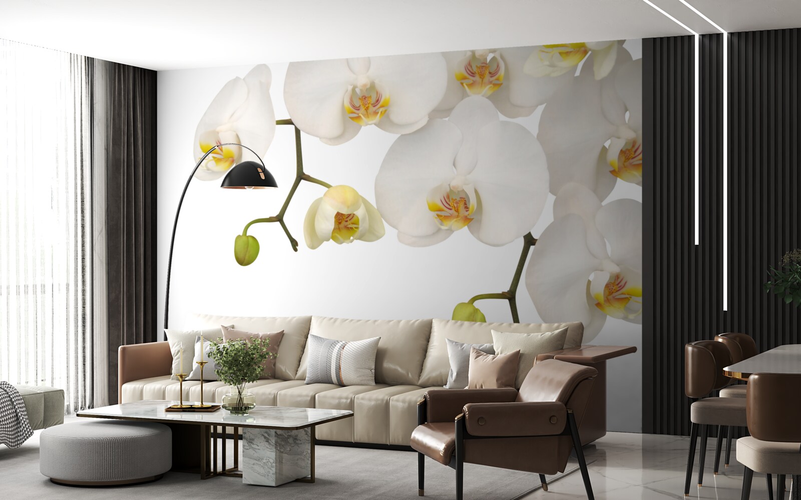 Fototapeta Orchidey sú biele kvety Visia