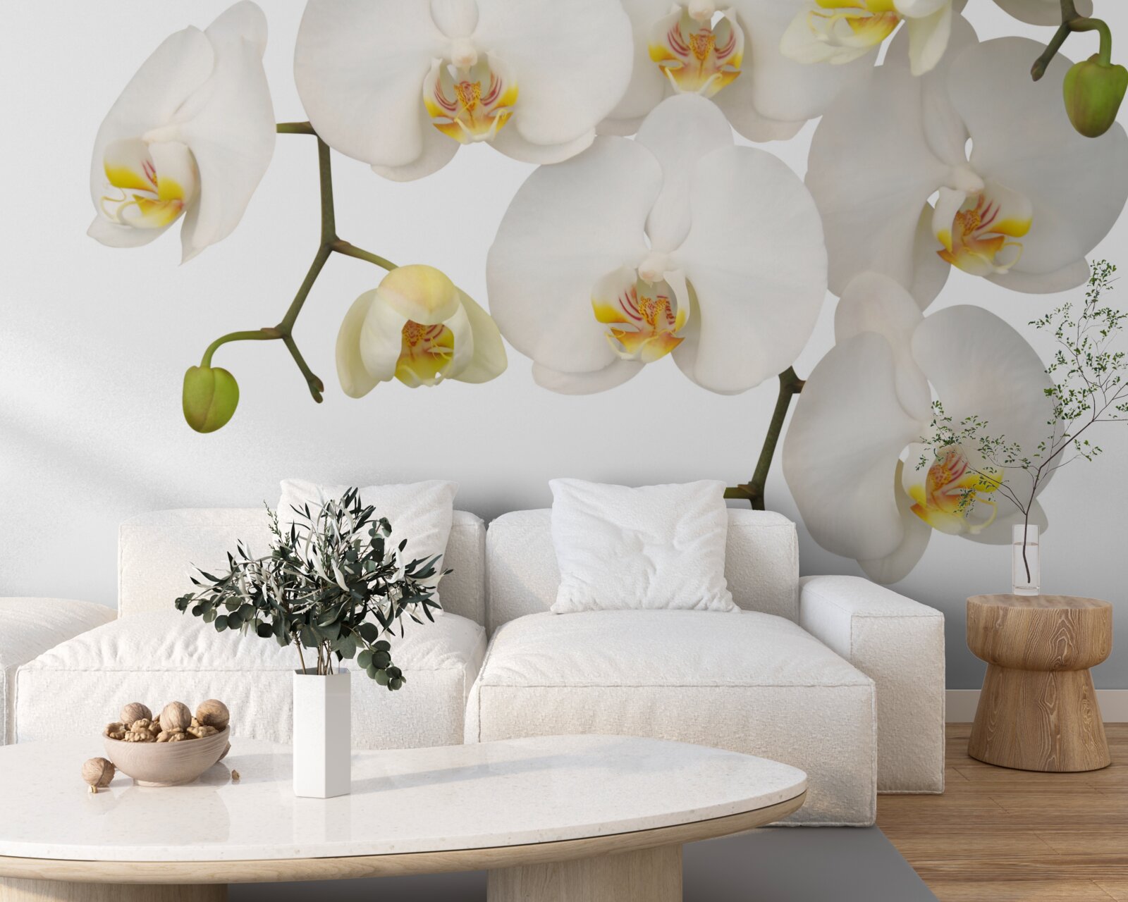 Fototapeta Orchidey sú biele kvety Visia