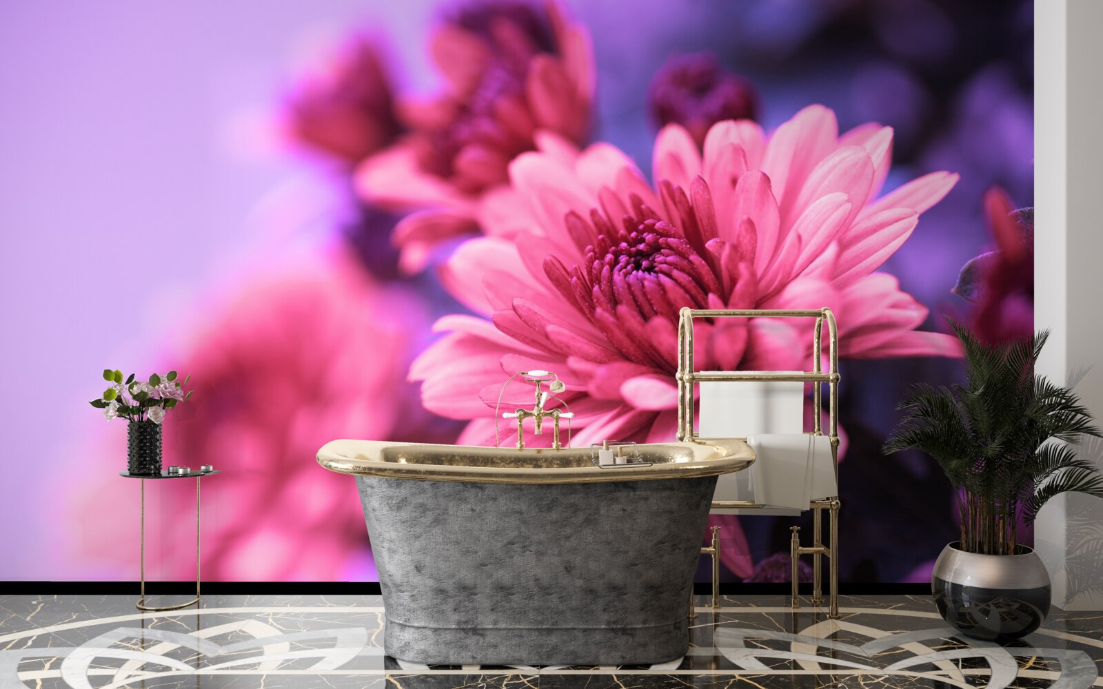 Fototapeta ružové astry kvitnú ráno