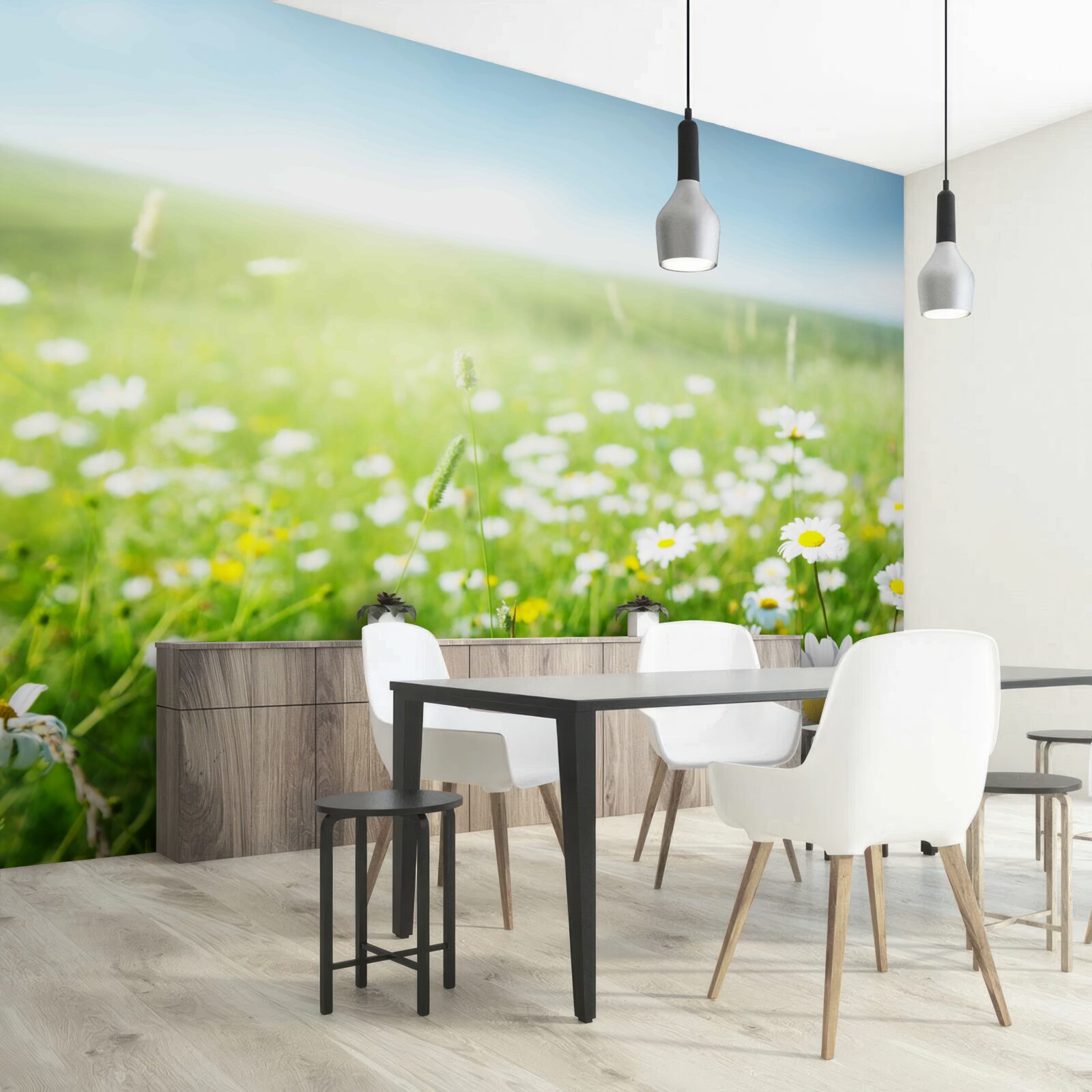 Fototapeta sedmokrásky bielky na soli