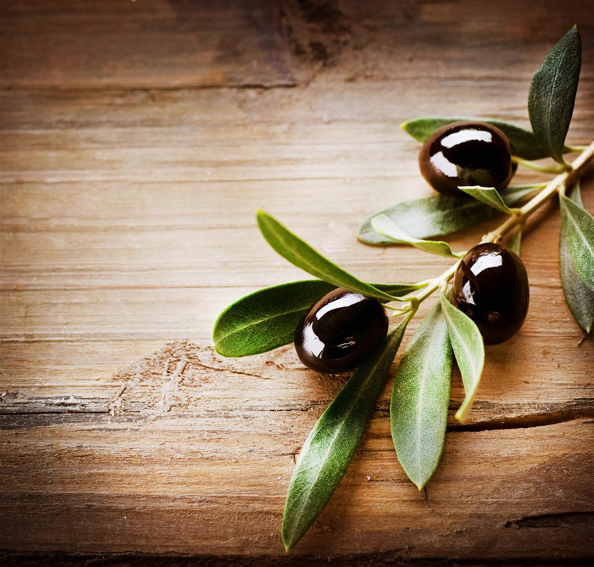 Fototapeta konáre sú ozdobené olivovým olejom a zelenými listami