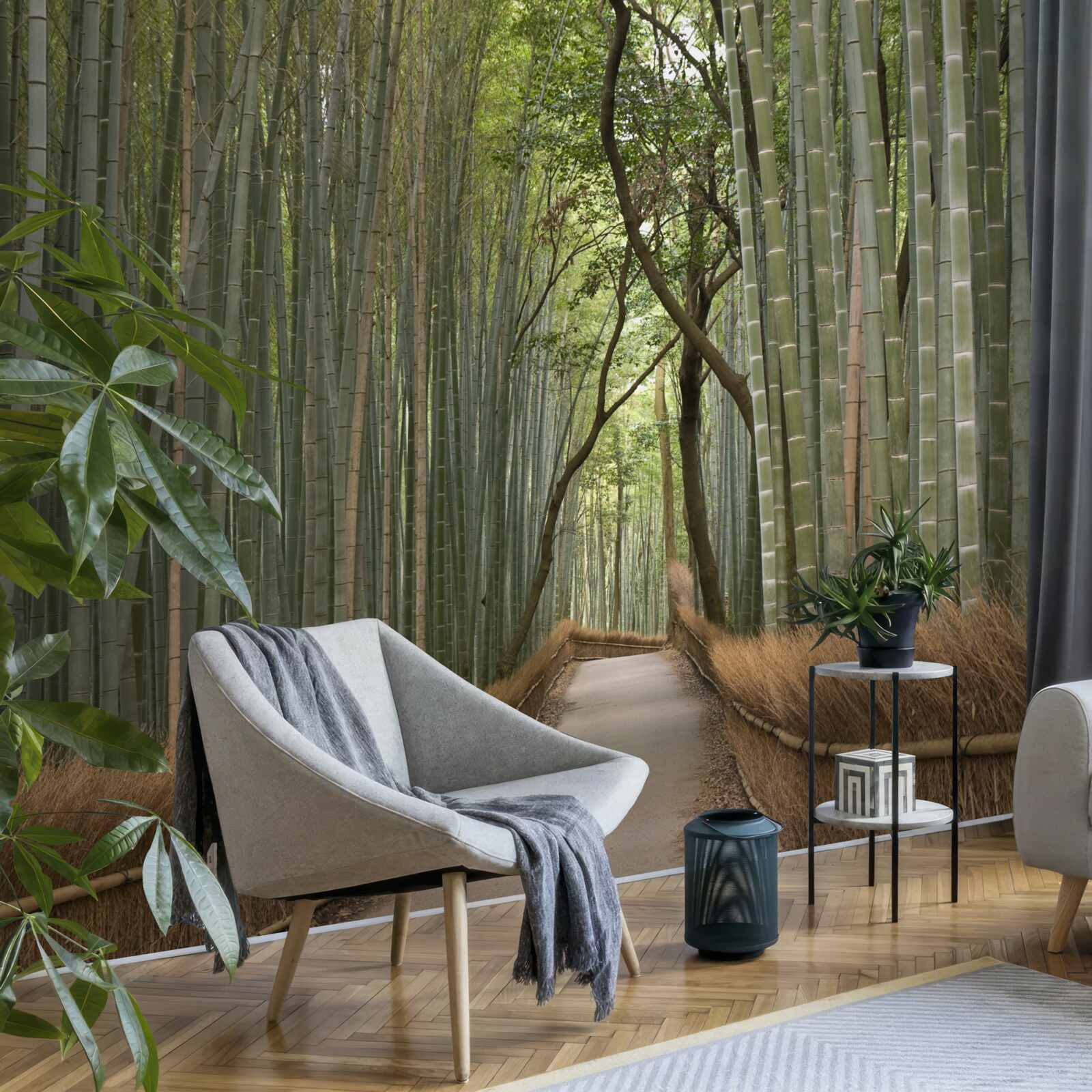 Fototapeta bambusové lesy sú vinie osamelá úzka cestička