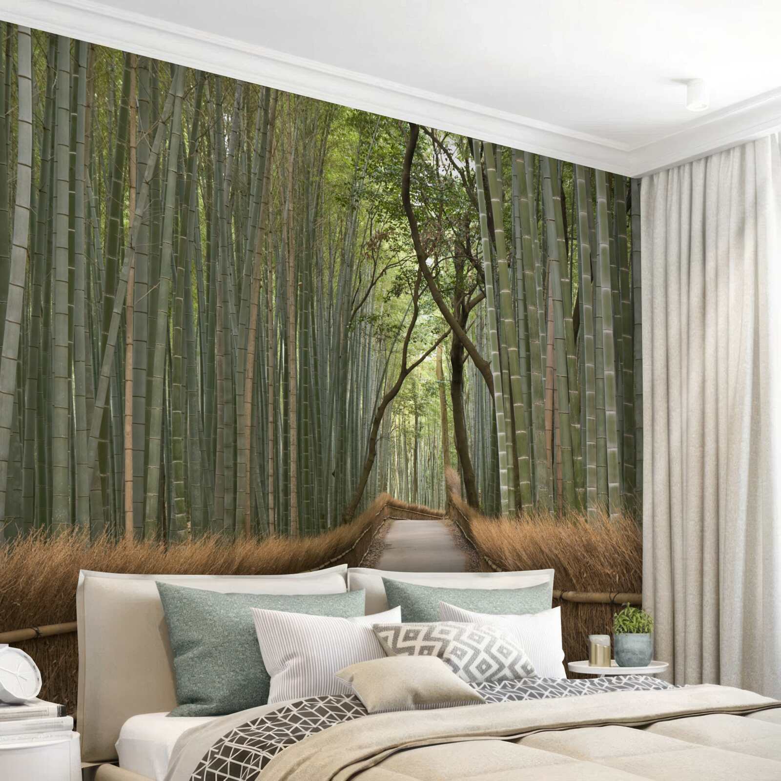 Fototapeta bambusové lesy sú vinie osamelá úzka cestička