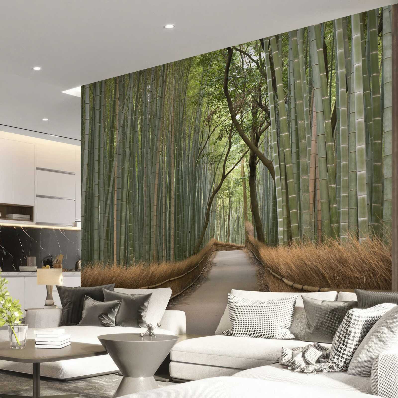 Fototapeta bambusové lesy sú vinie osamelá úzka cestička