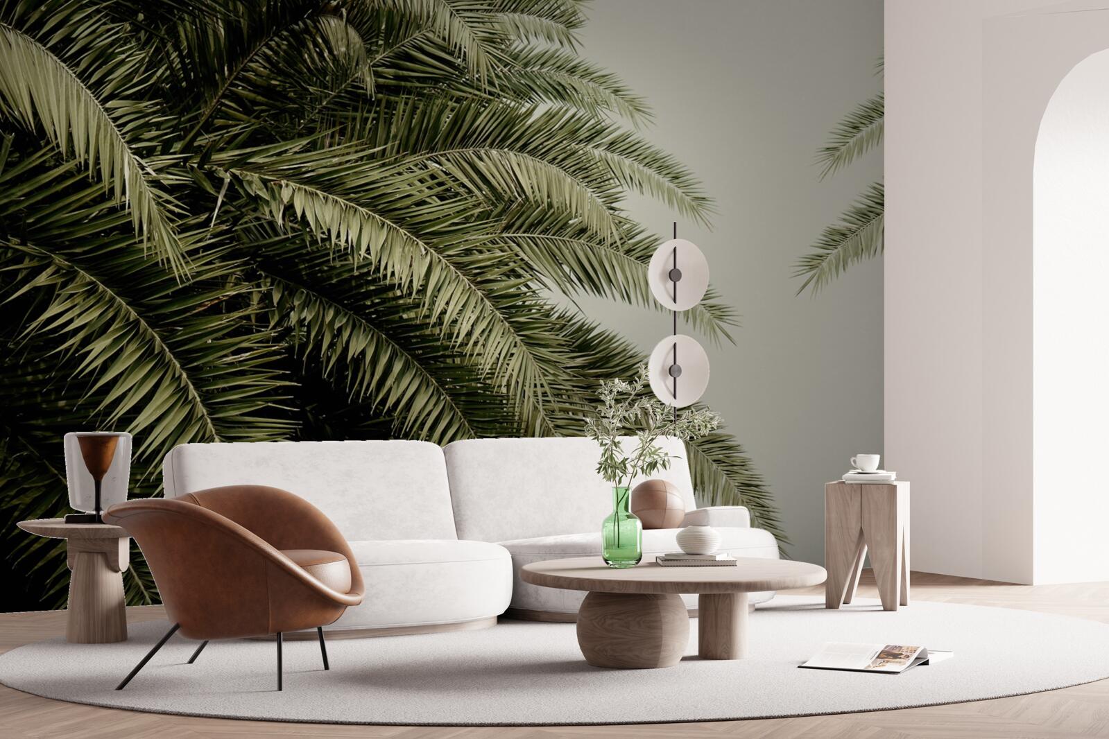 Fototapeta paprade husto listy pokryté vlhkosťou počas dažďa