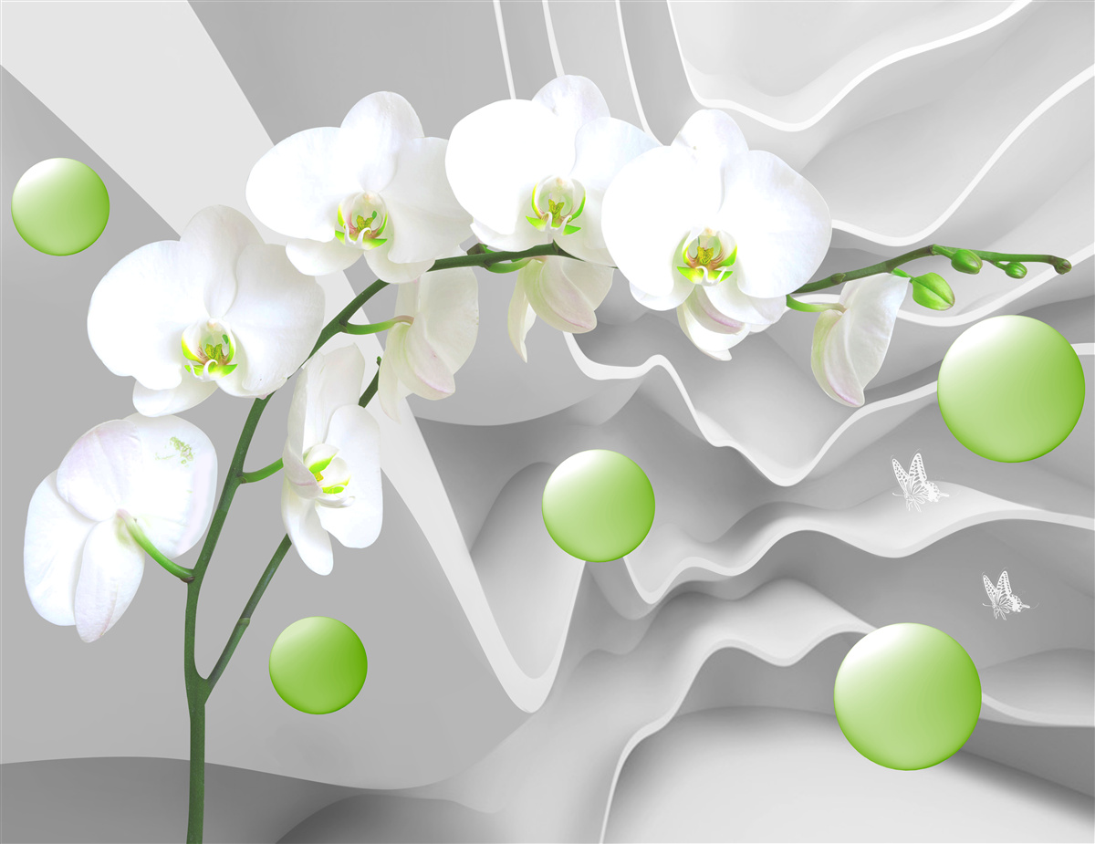 Fototapeta tajné plávajúce zelené gule a bledá orchidea