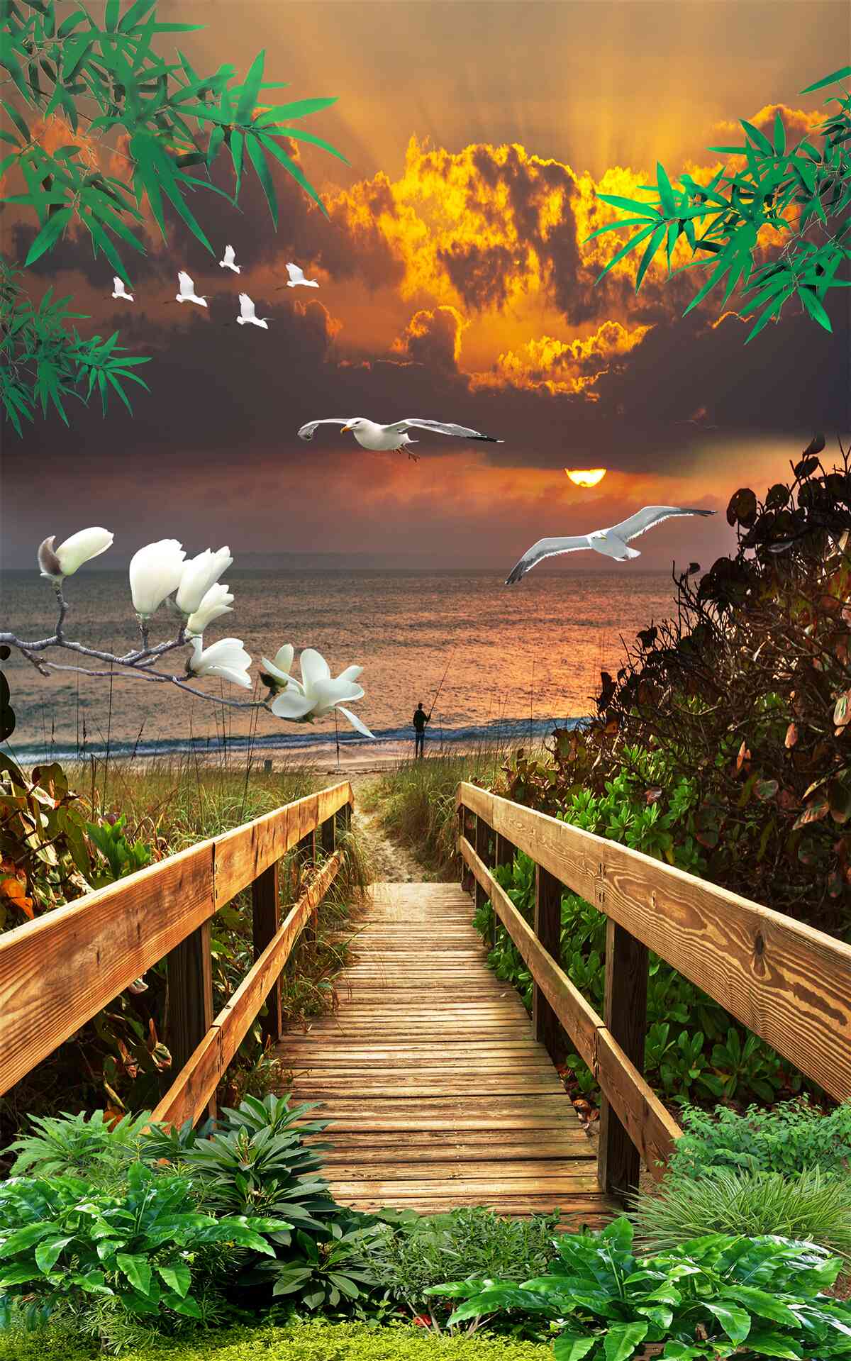 Fototapeta večerná cesta k pobrežiu