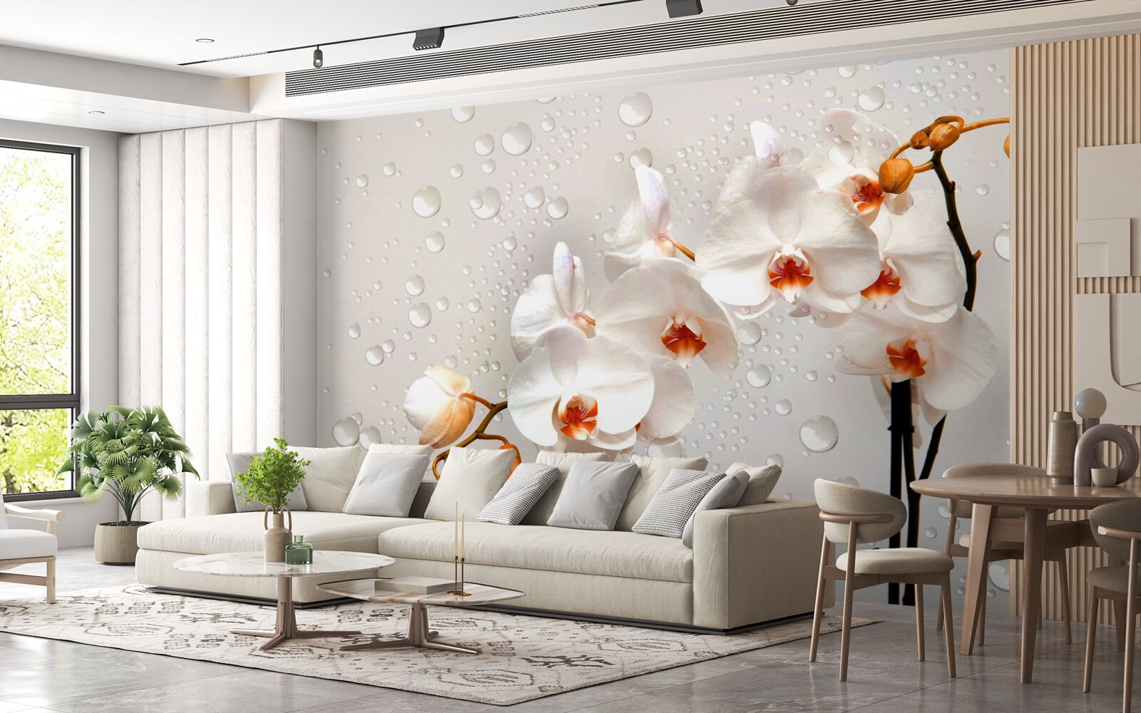 Fototapeta Veľké dažďové kvapky pokrývajú biele lotosové kvety