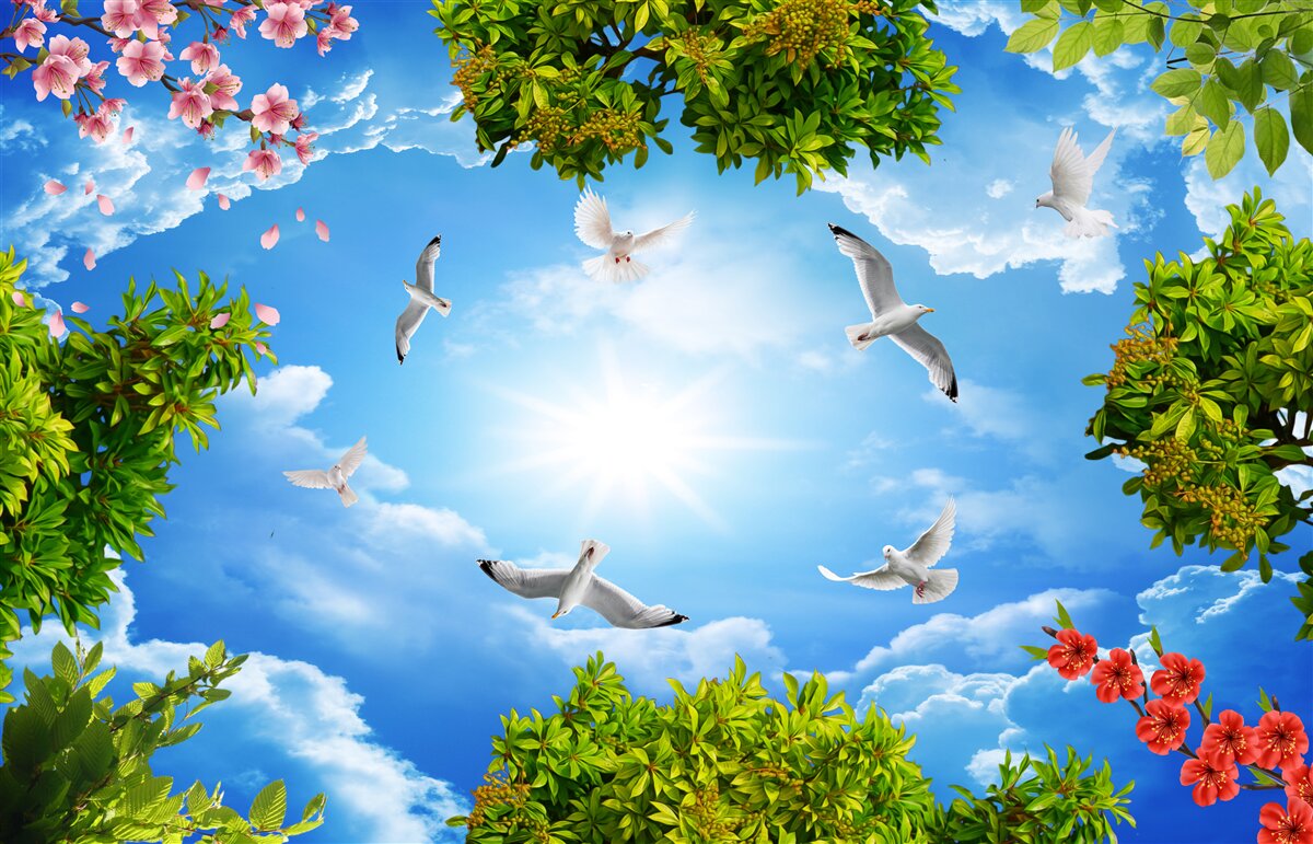 Fototapeta vtáky v lese si užívajú slnečný deň