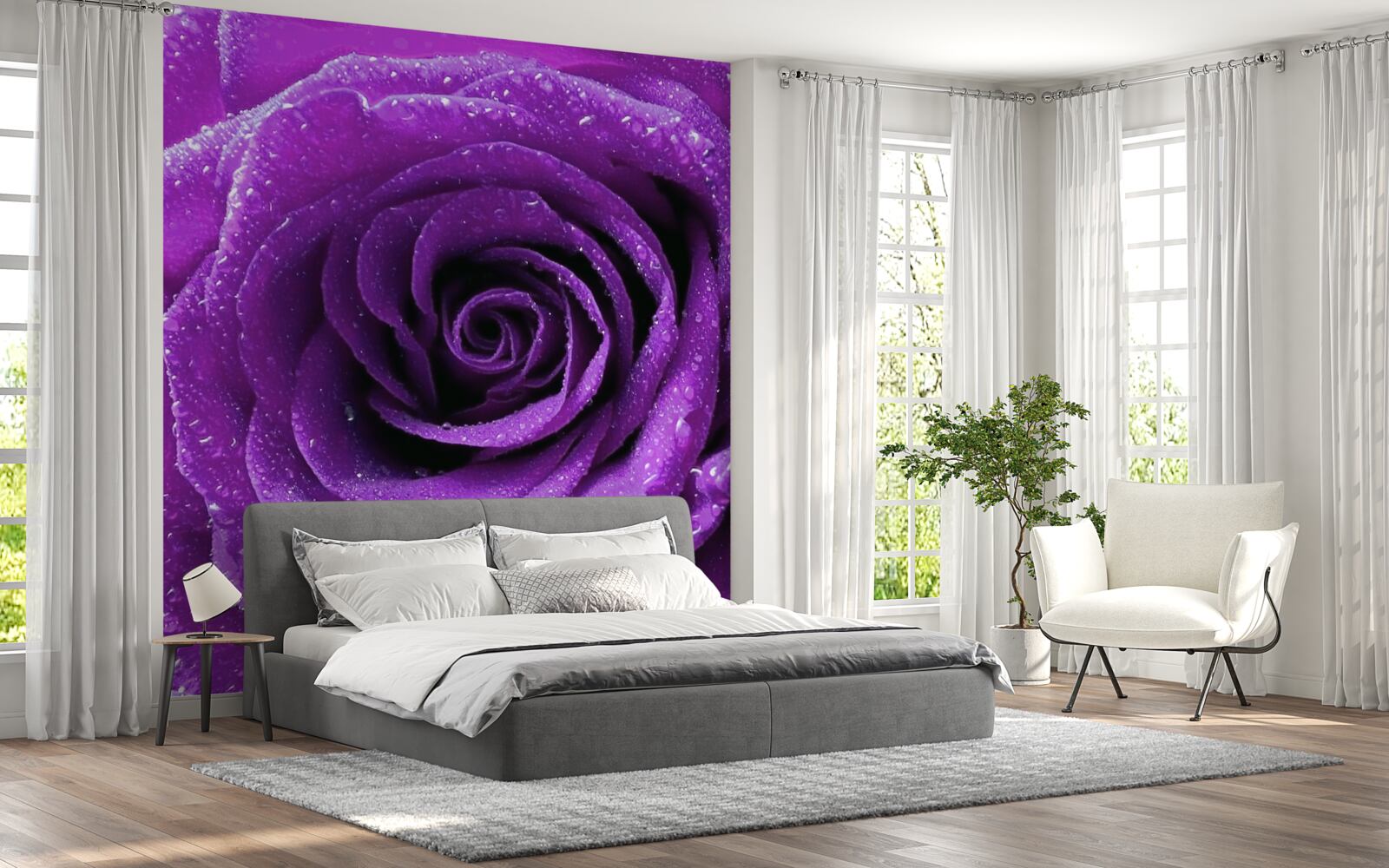 Fototapeta veľké kvapky ruží na okvetných lístkoch orgovánovej ruže